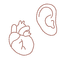specialist care