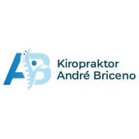 Kiropraktor André Briceno logo