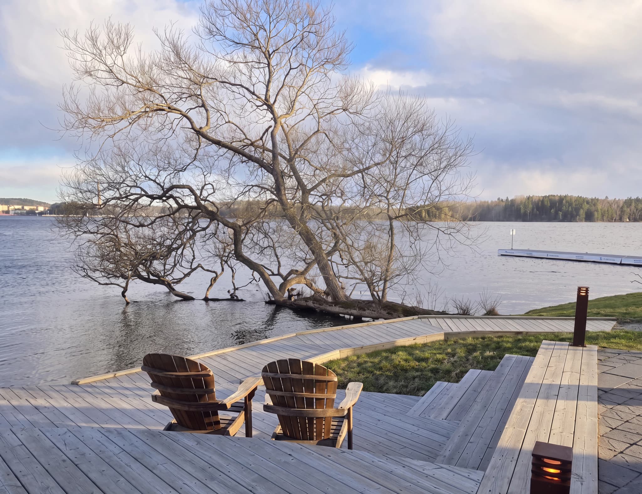 Två Adironack-stolar på ett trädäck vid en sjö med en stor, grentät träd som lutar sig ut över vattnet.