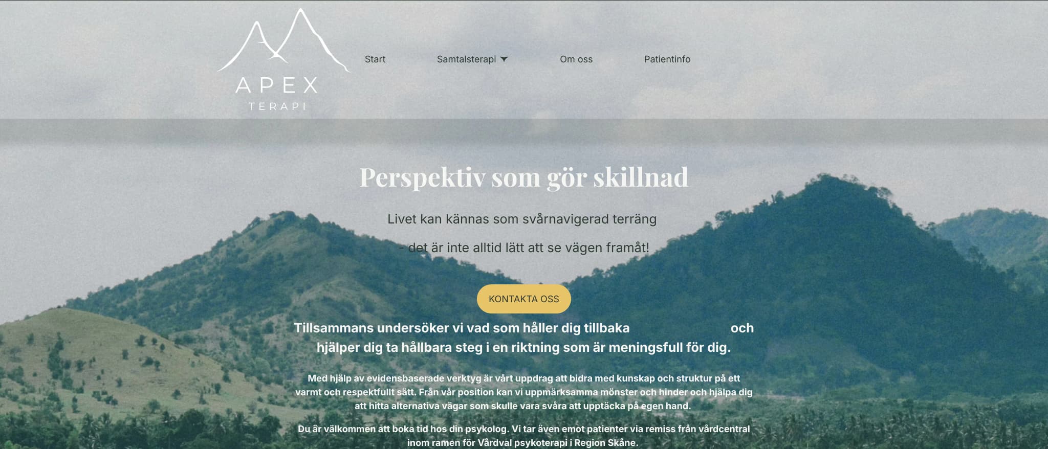 Skärmbild av webbplatsen för Apex Terapi