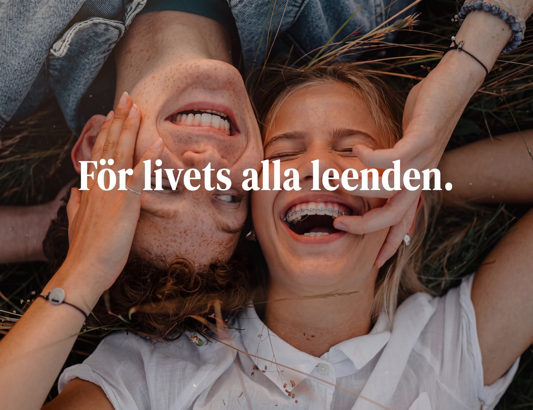 Närbild på ett ungt par som skrattar utomhus, med gräs och veteax runt dem. Kvinnan har tandställning.