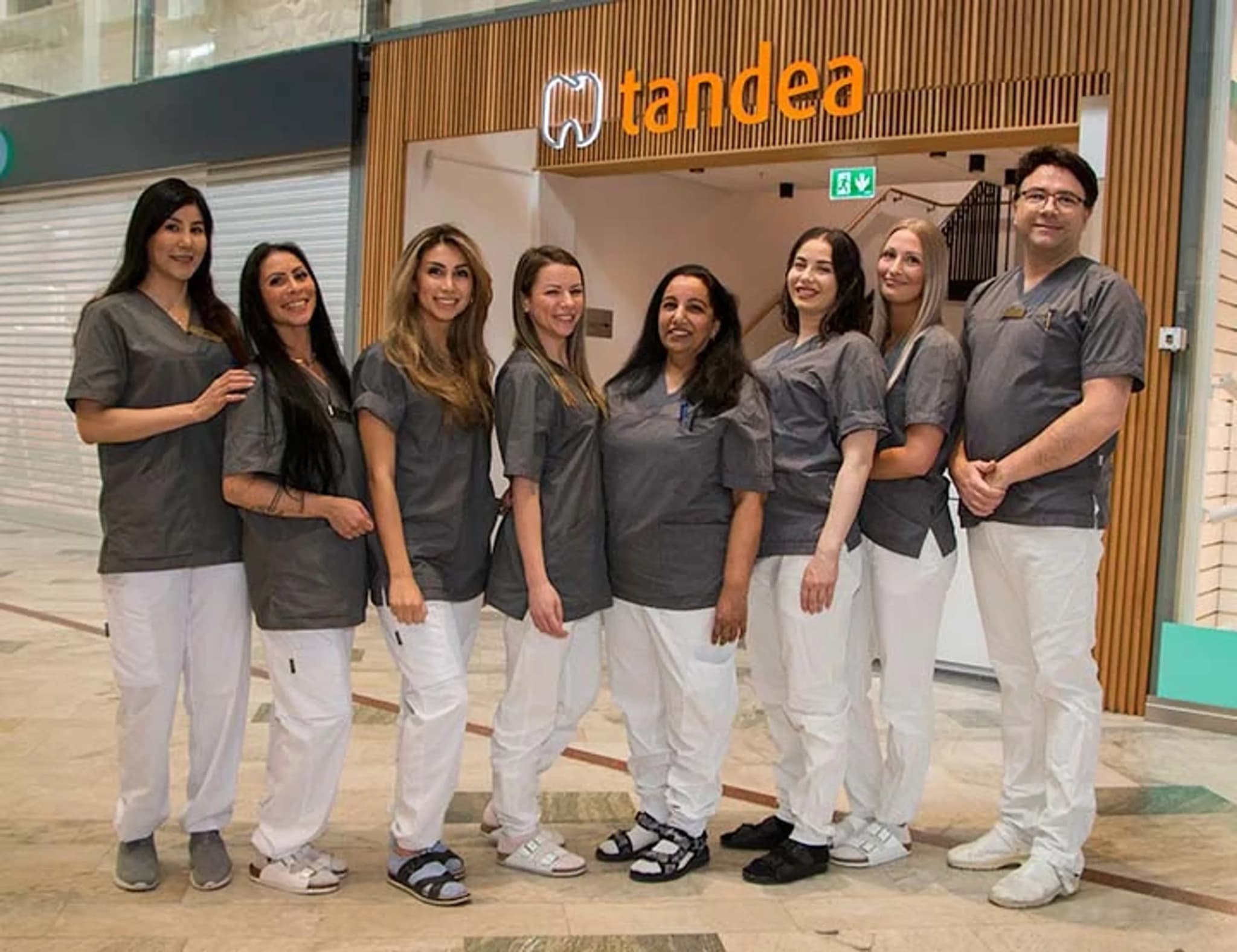 Teamet hos Tandea Handen, Haninge
