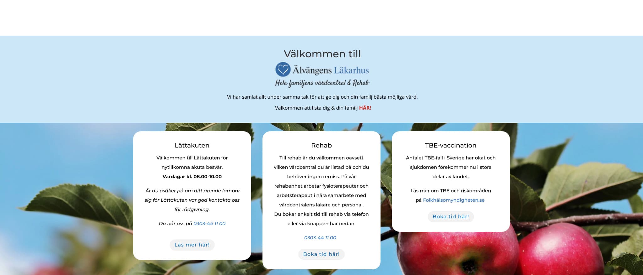 Skärmbild av webbplatsen för Älvängens Läkarhus
