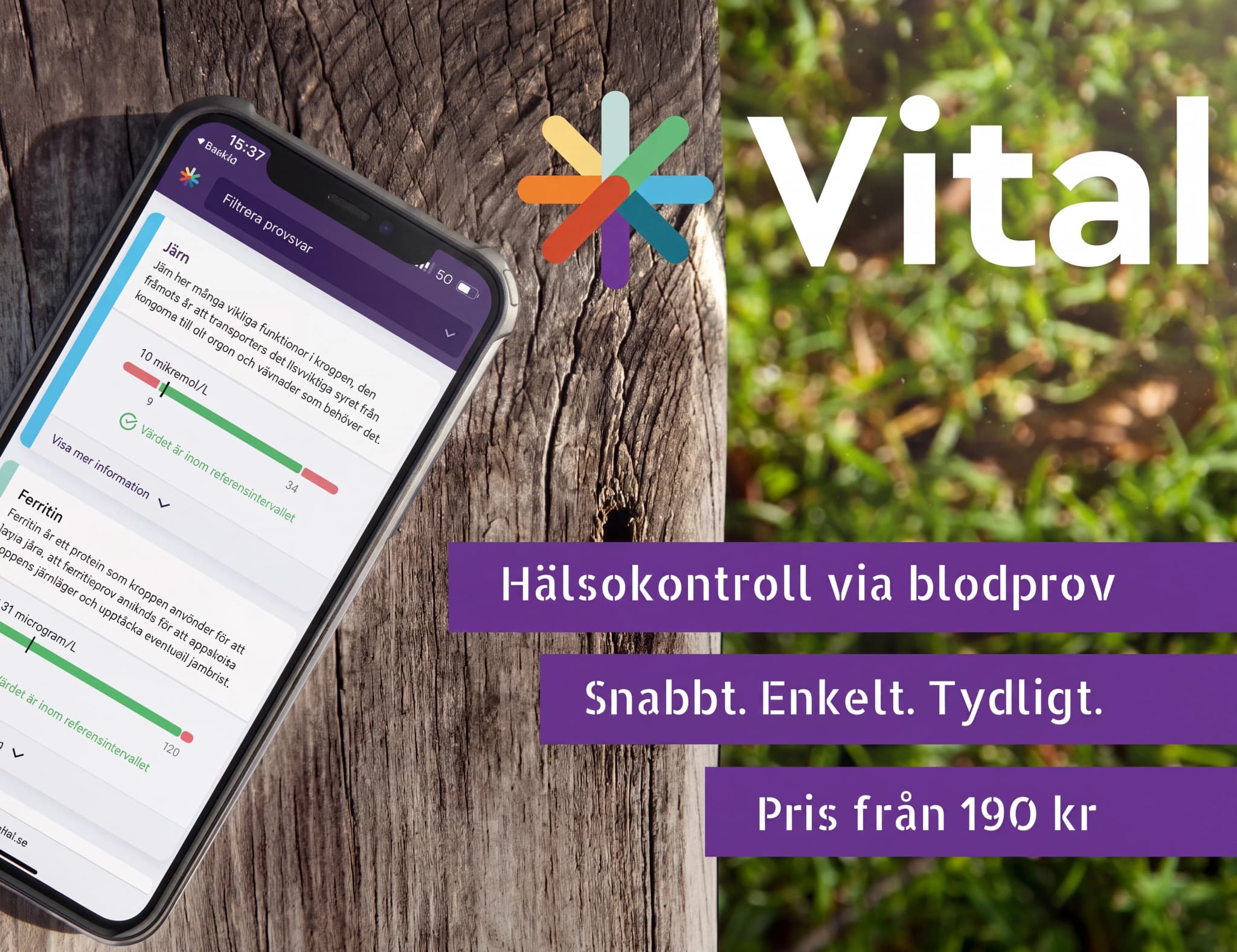 En mobiltelefon visar appen Vital med hälsokontrollresultat för järn och ferritin på ett träbord.