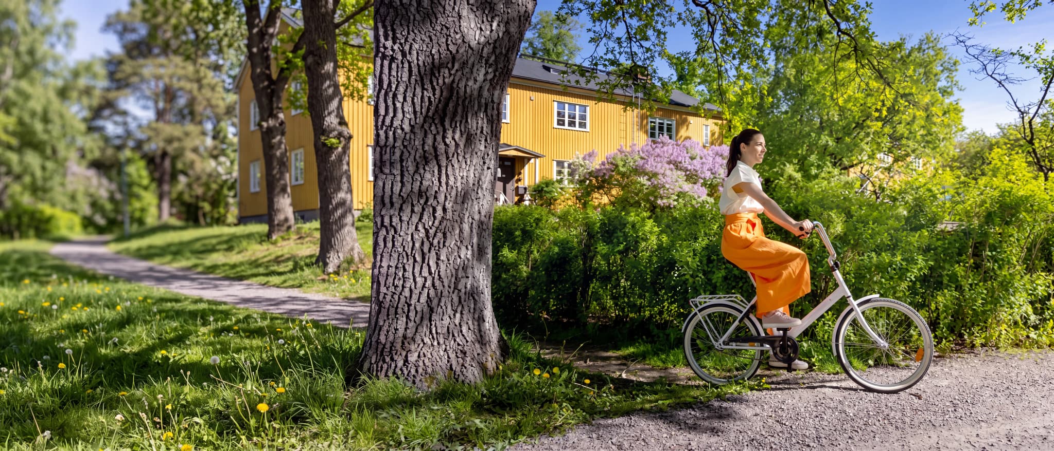 Vital Simrishamn