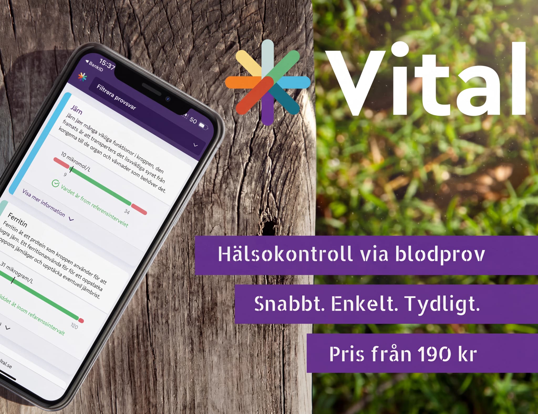 En smartphone som visar resultat från en hälsokontrollapp för järnnivåer och ferritinnivåer med en bakgrund av trä och grönska.