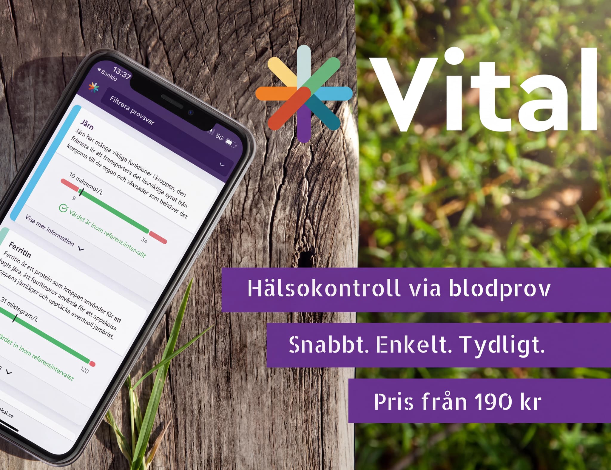 En smartphone som visar en app för hälsokontroll via blodprov, med information om järn och ferritin. Texten 'Vital' och 'Hälsokontroll via blodprov' är synlig.
