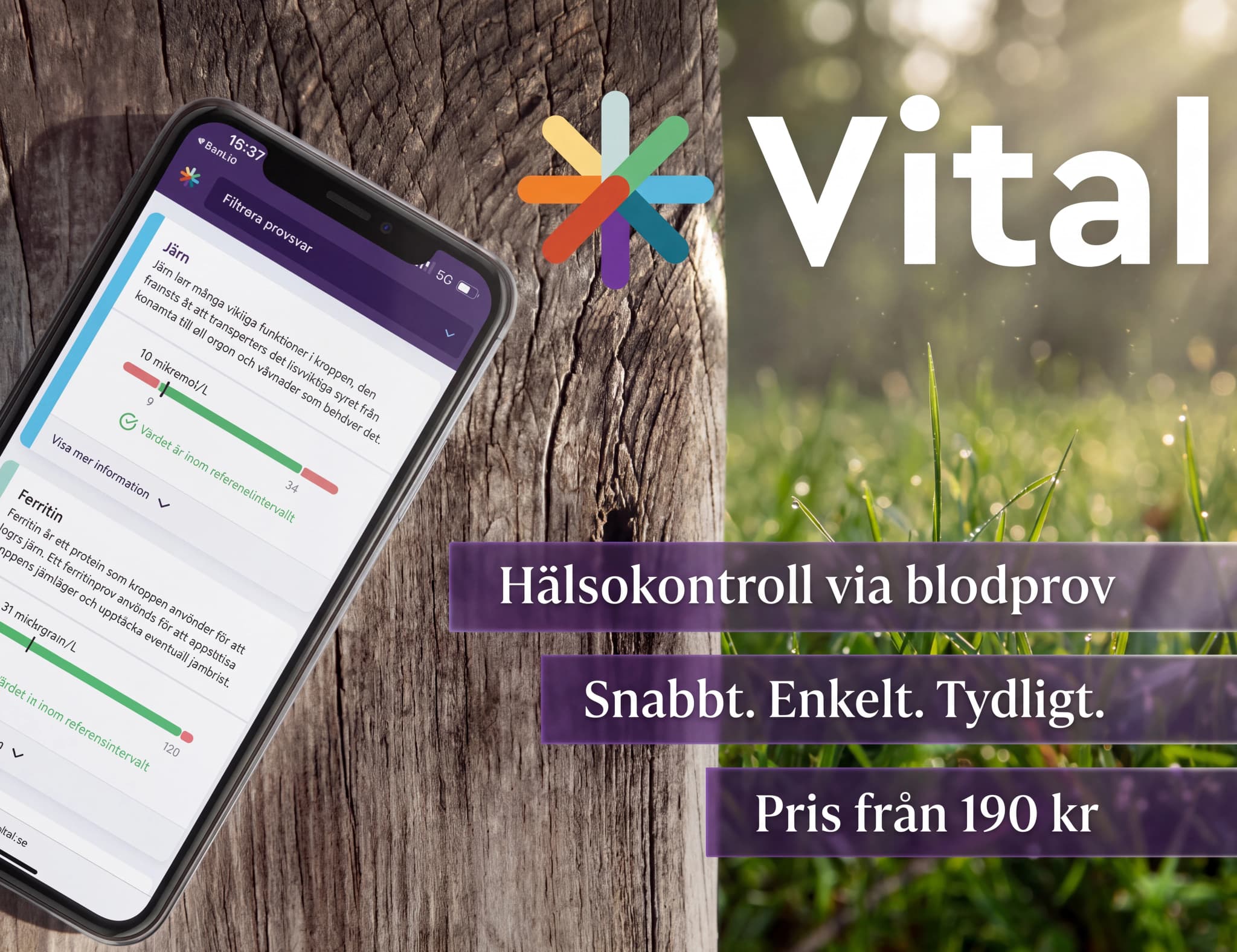 En mobiltelefon som visar Vital-appen för hälsokontroll via blodprov. Skärmen visar resultat för järn och ferritin.