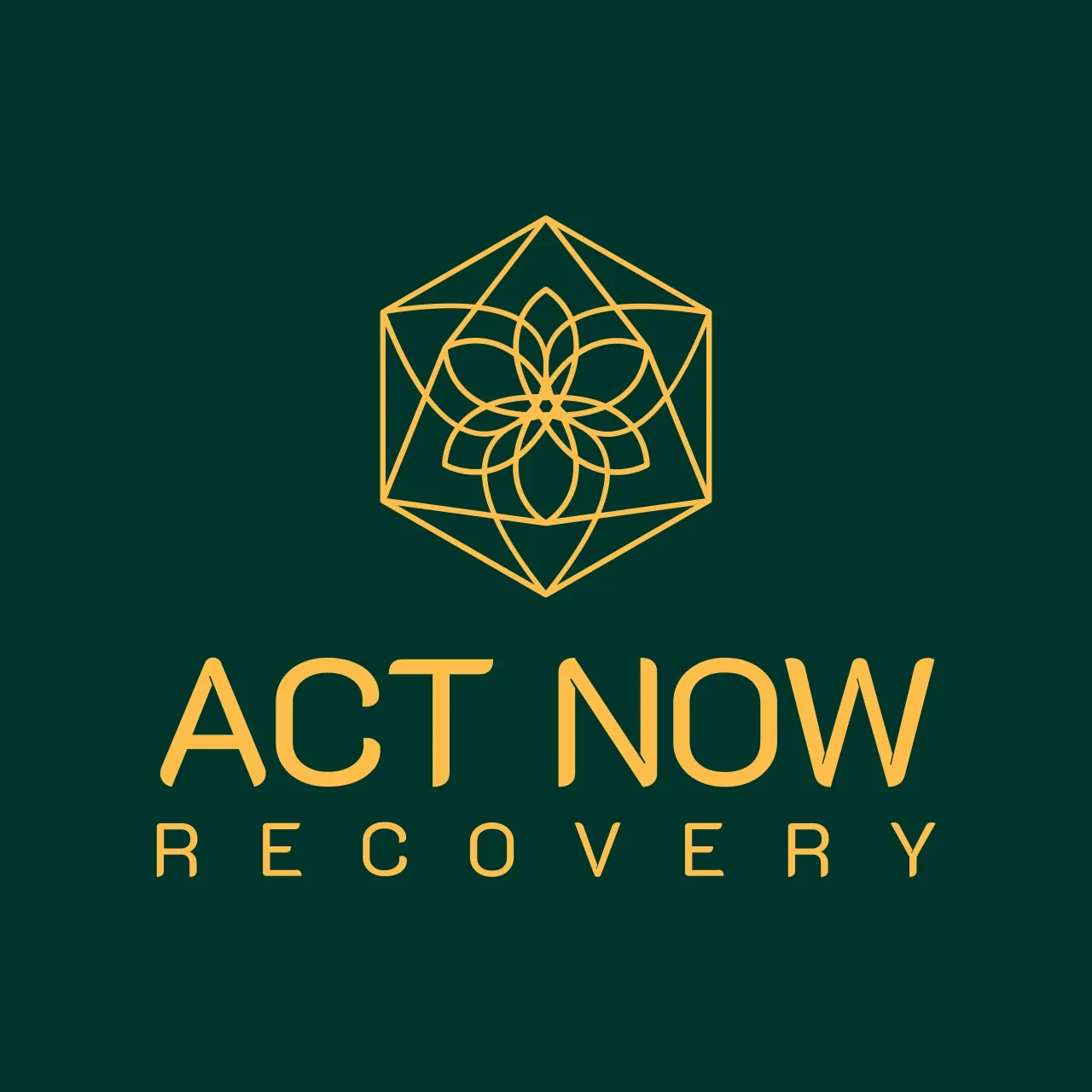 ACT NOW Recovery Digital logo