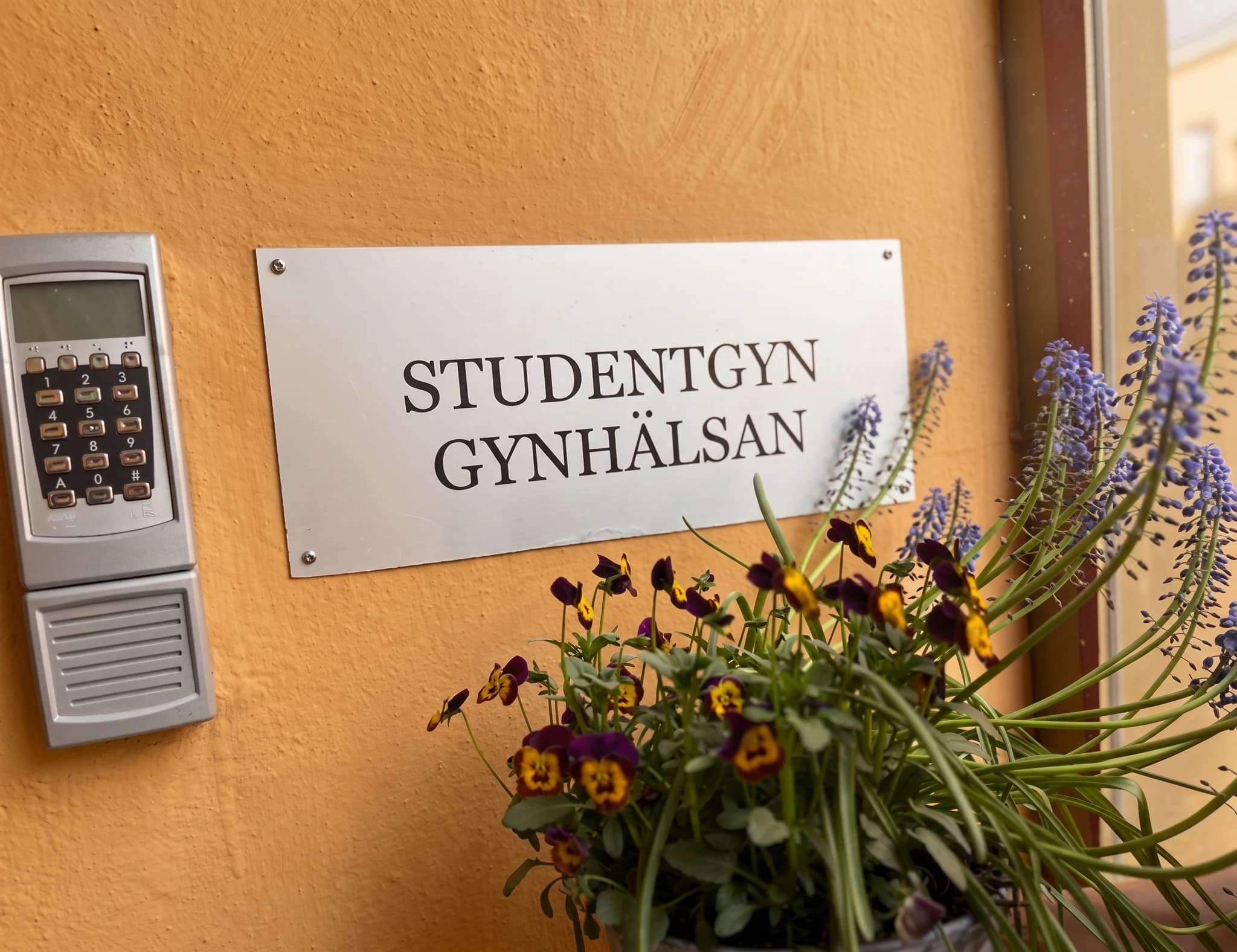 En skylt på en orange vägg som lyder 'STUDENTGYN GYNHÄLSAN' bredvid ett kodlås och en kruka med blommor.