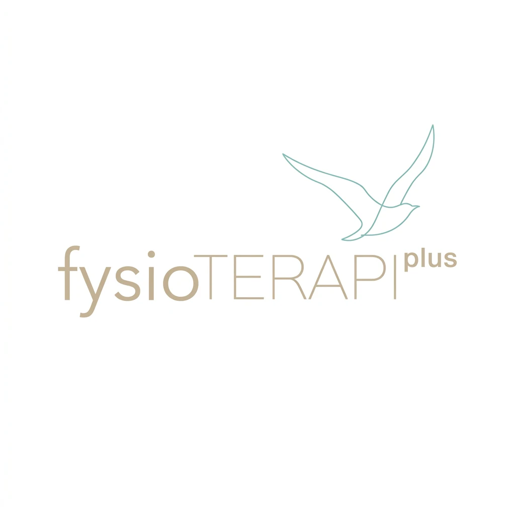 Fysioterapi Plus