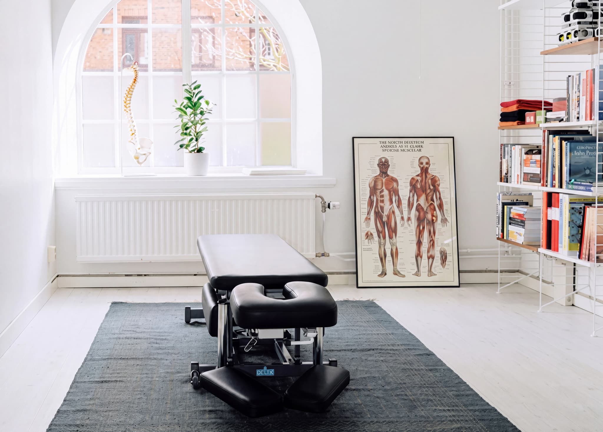 En justerbar kiropraktikbehandlingsbänk står på en matta i ett ljust behandlingsrum med ett fönster och en anatomisk illustration på väggen.