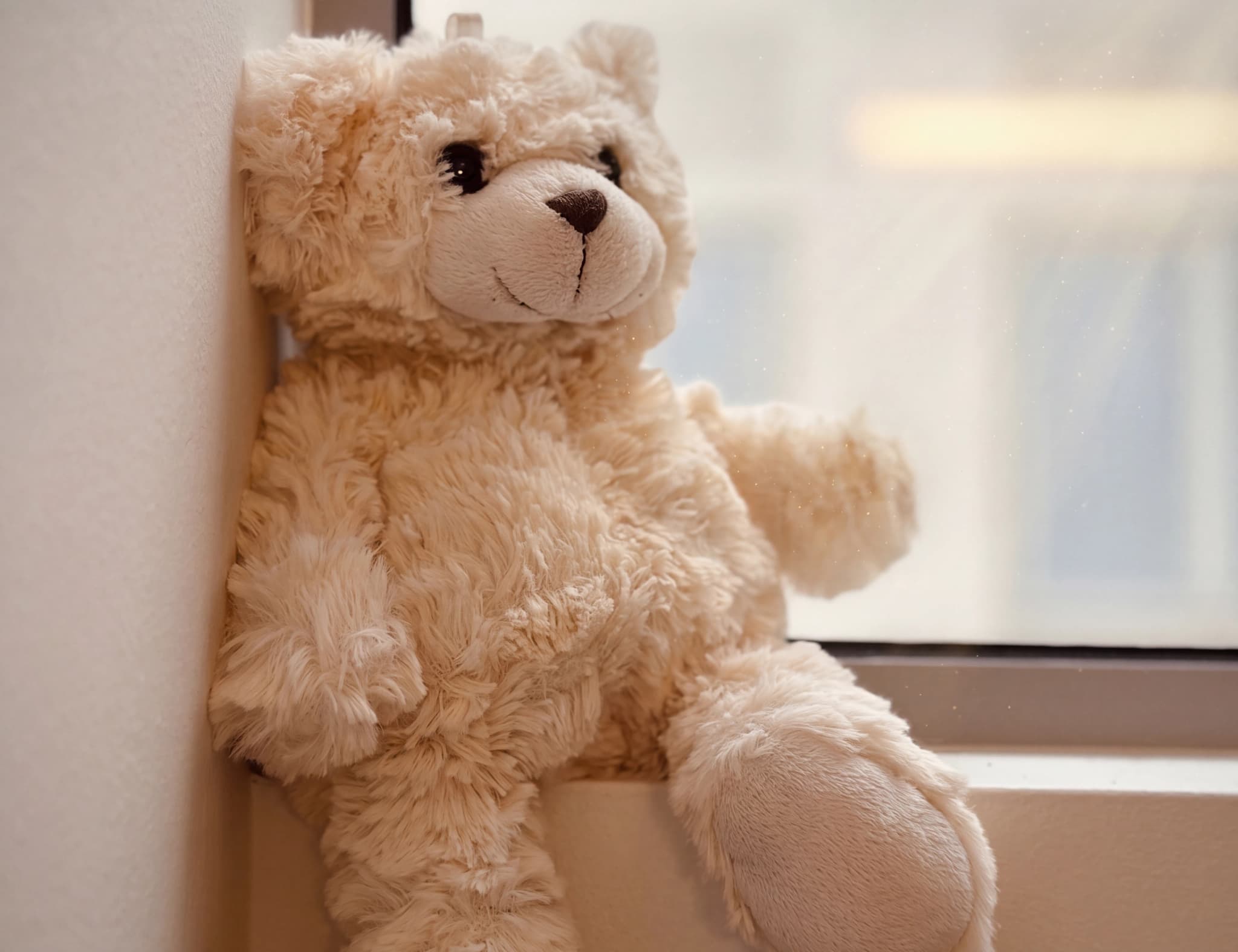 En ljusbrun teddybjörn sitter lutad mot en vit vägg vid ett fönster.