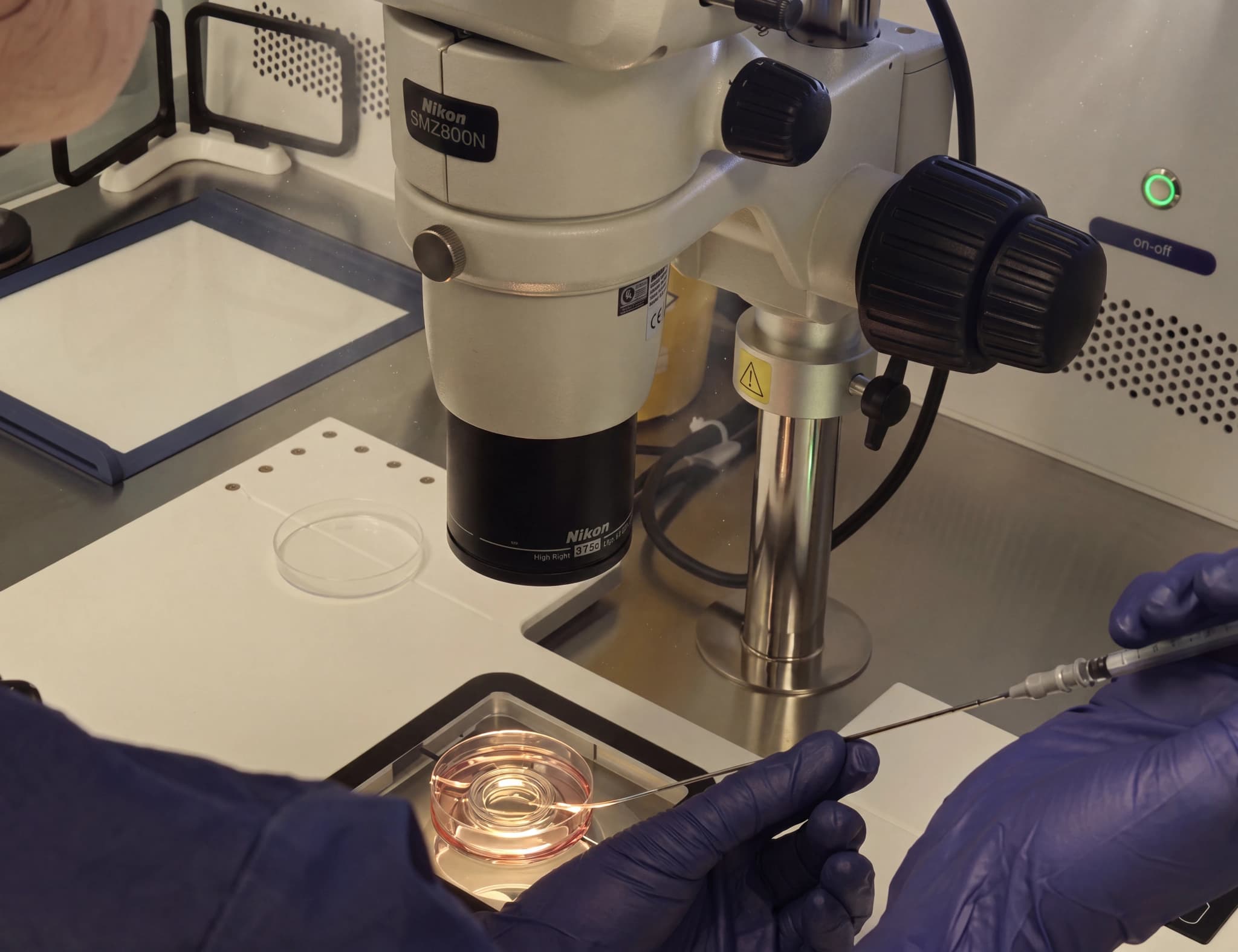 En embryolog utför en IVF-procedur med hjälp av ett mikroskop och en pipett.