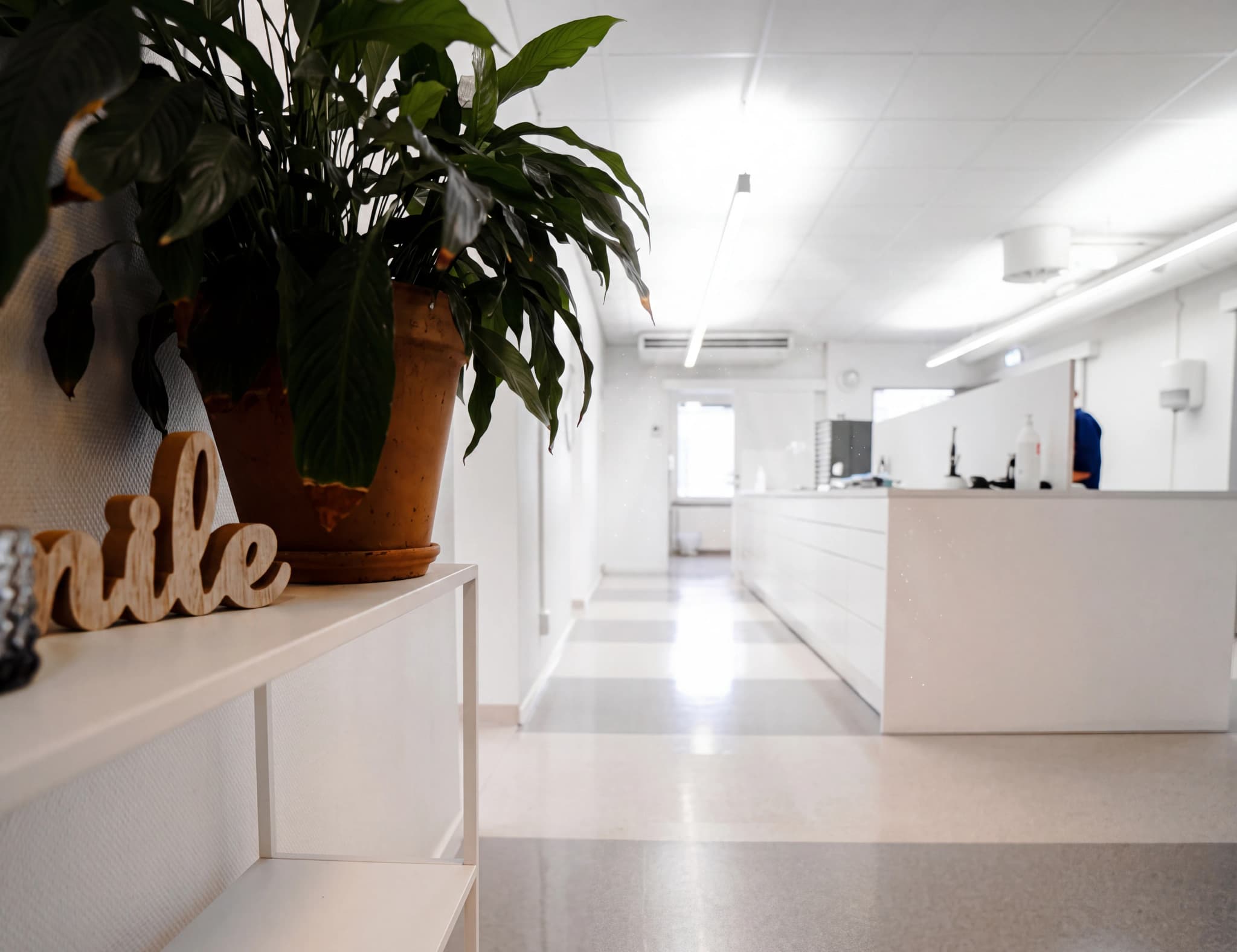 Receptionen hos Smile Boden