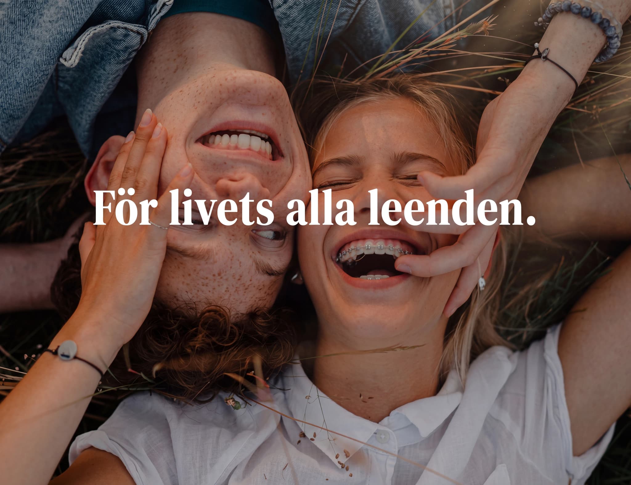 Ett ungt par ligger i gräset och skrattar hjärtligt, med en hand som täcker munnen på den ena personen.