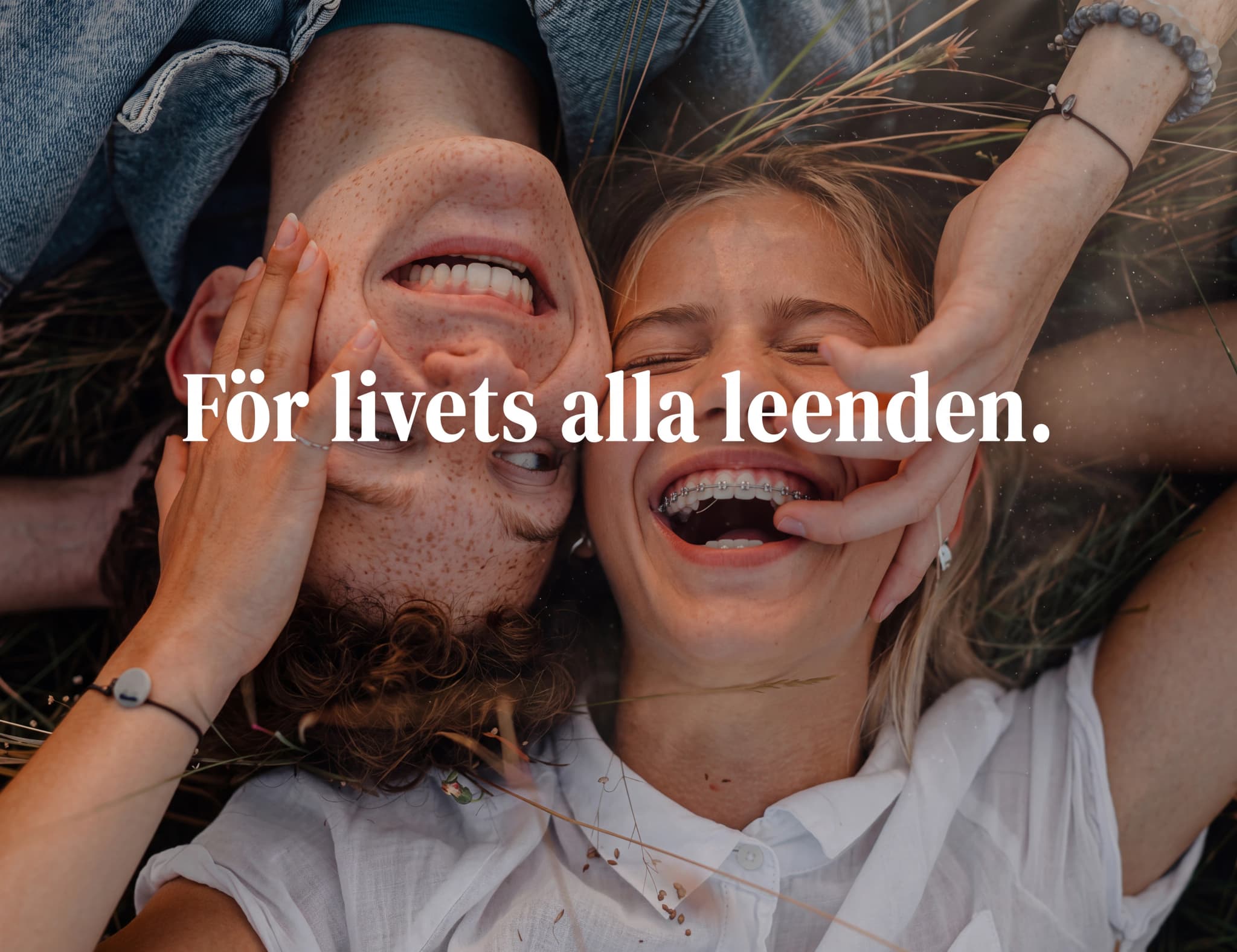 Ett par som skrattar tillsammans utomhus bland gräs och strån.