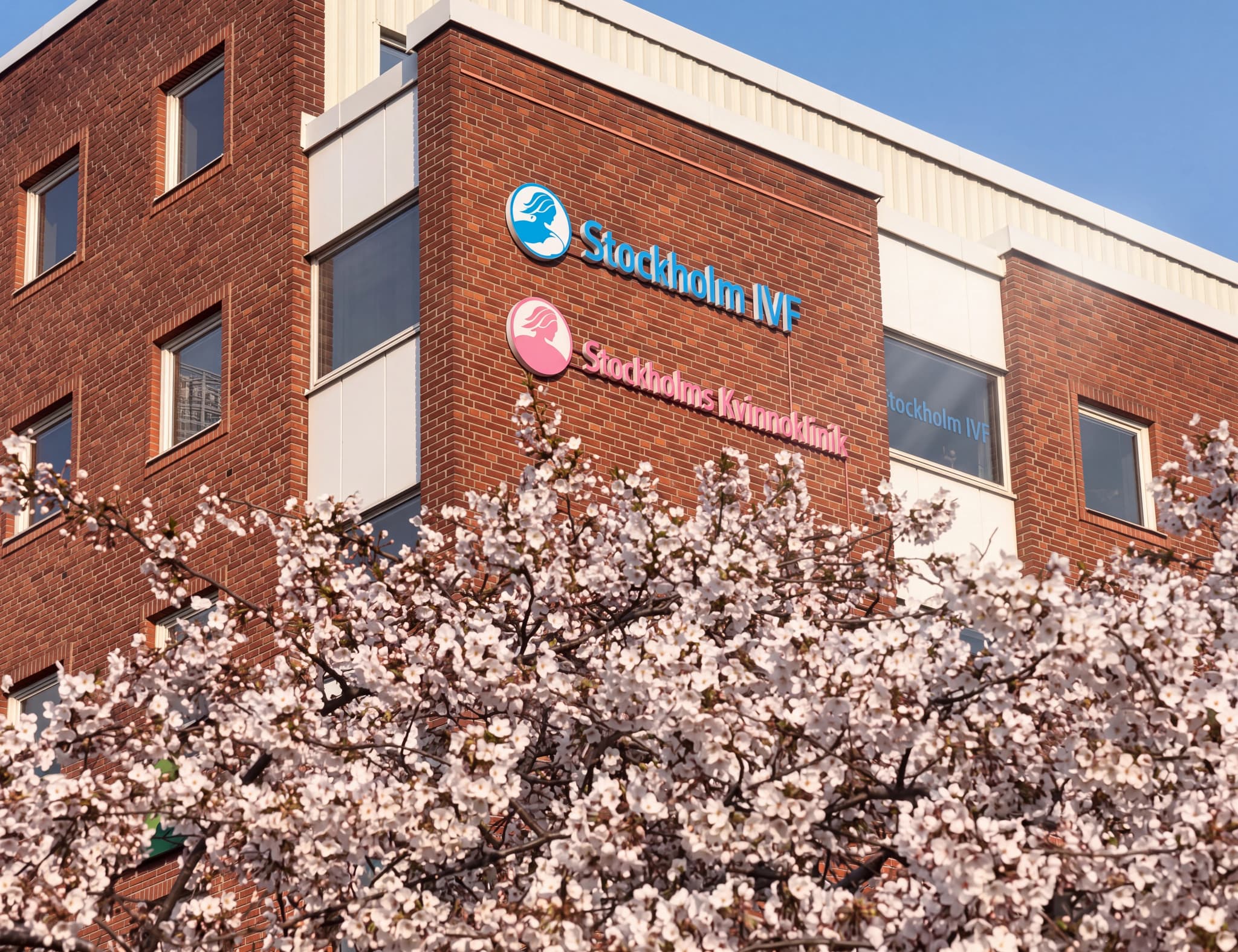 Byggnad för Stockholm IVF med blomstrande körsbärsträd framför.
