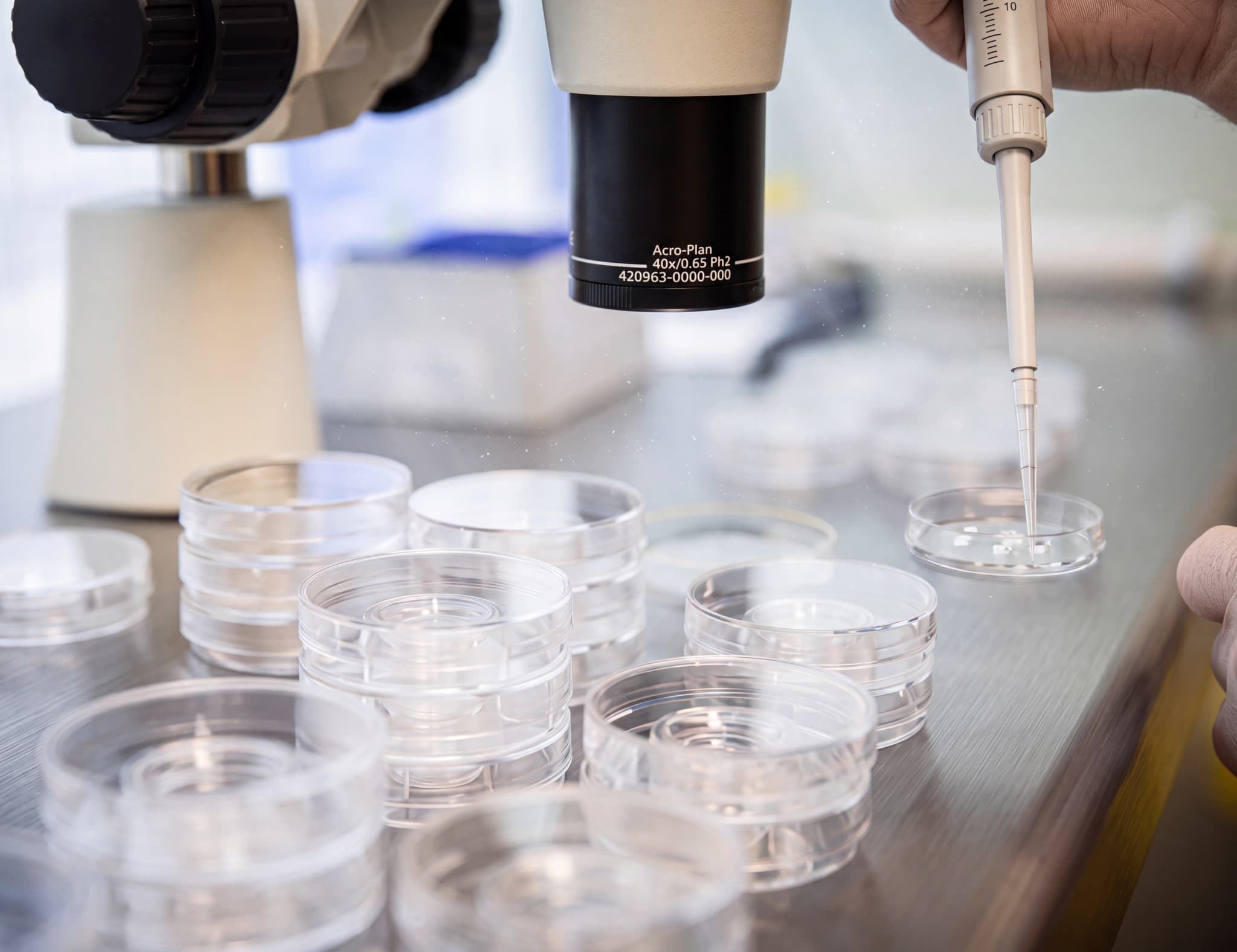 En hand i en vit handske håller en pipett över petriskålar i ett laboratorium.