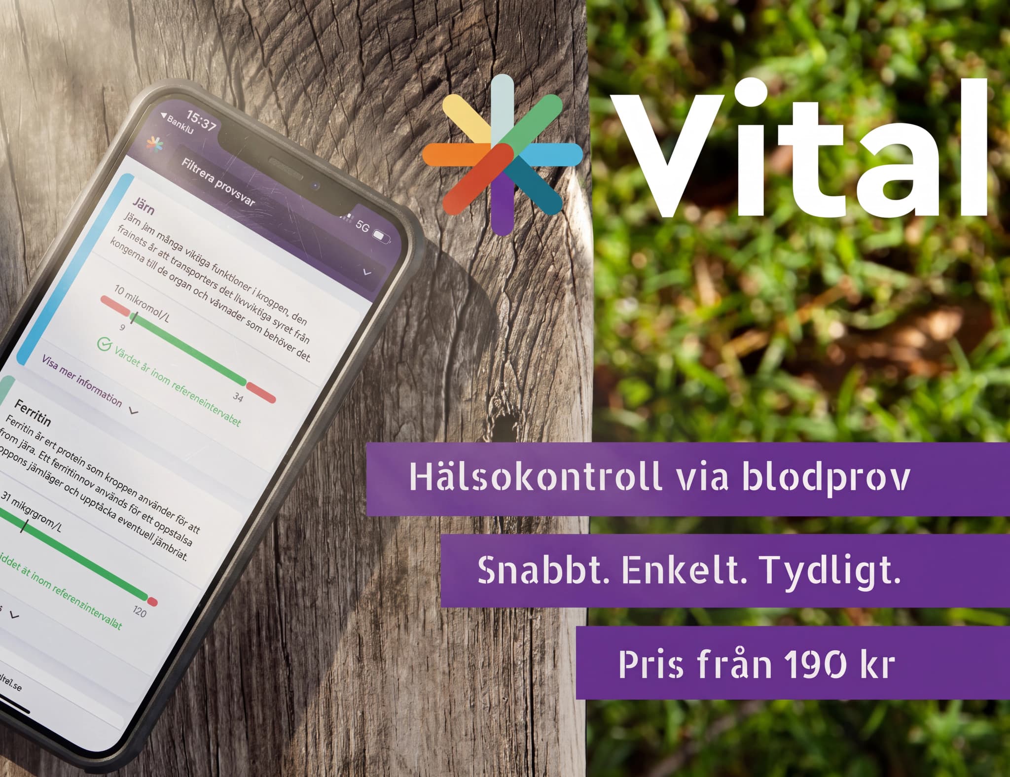 En smartphone som visar appen Vital med hälsokontroller via blodprov på en träbakgrund.
