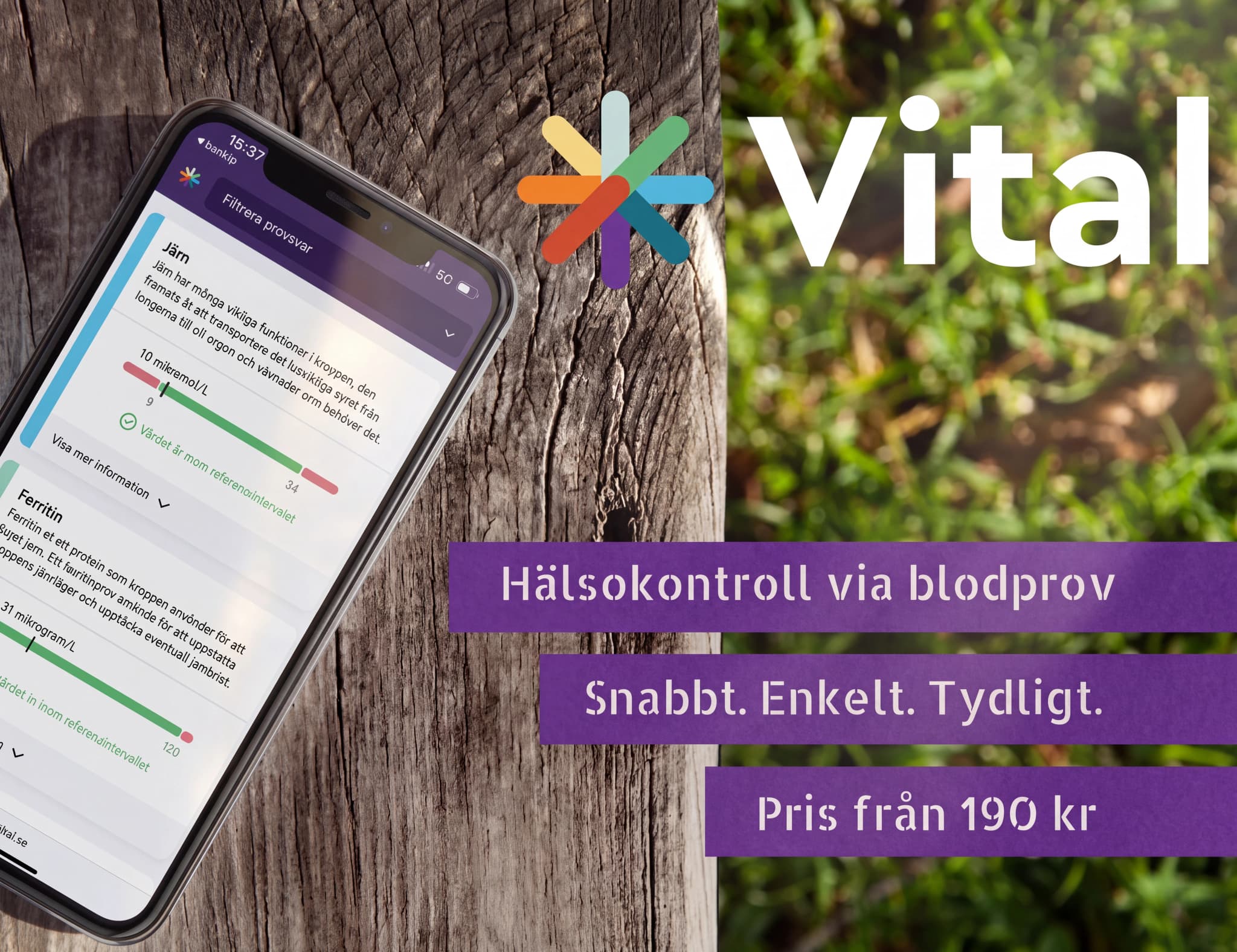 En smartphone som visar resultaten från ett hälsokontrollprov i en app, med järn- och ferritinvärden.