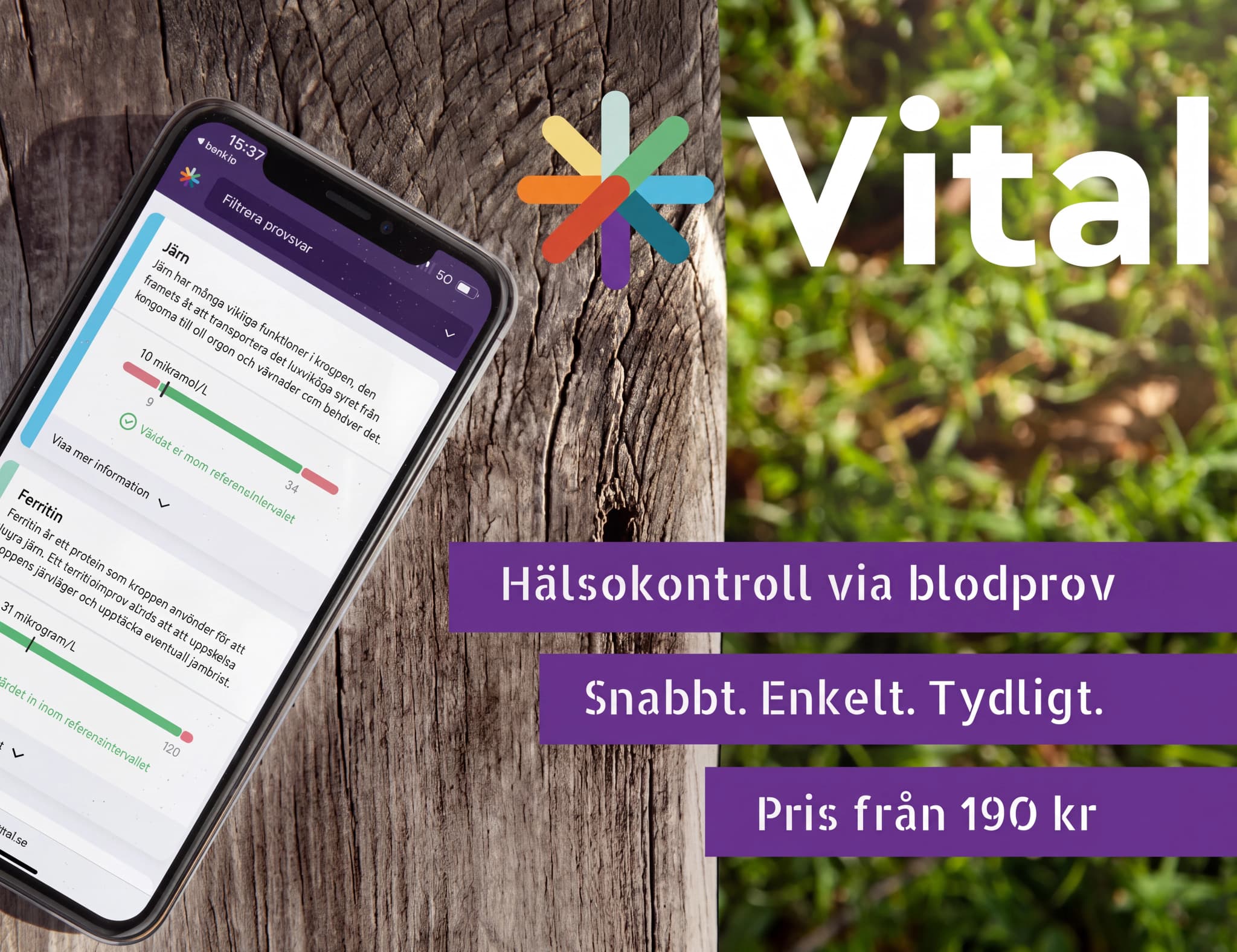 En smartphone visar resultaten av ett hälsokontrollstest för järn och ferritin i Vital-appen, bredvid en trästruktur och en grön bakgrund.