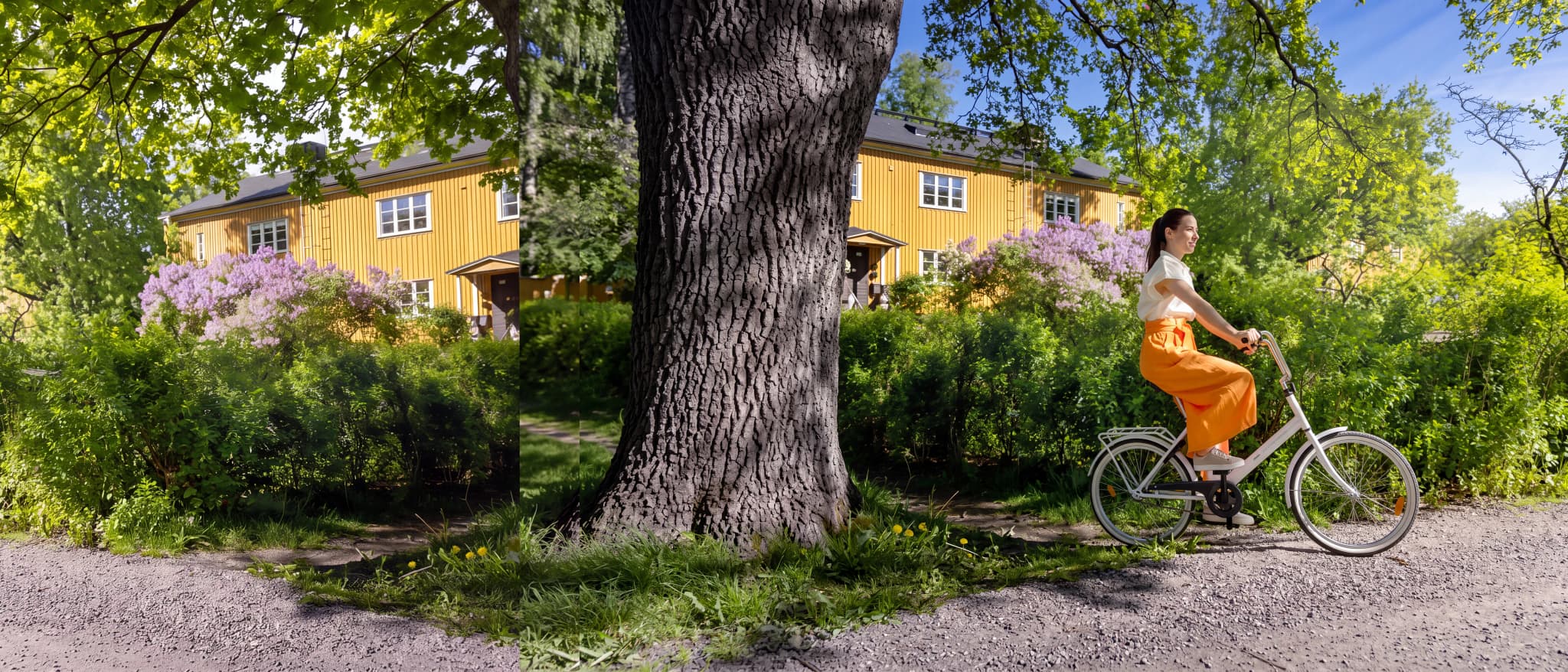 Vital Båstad