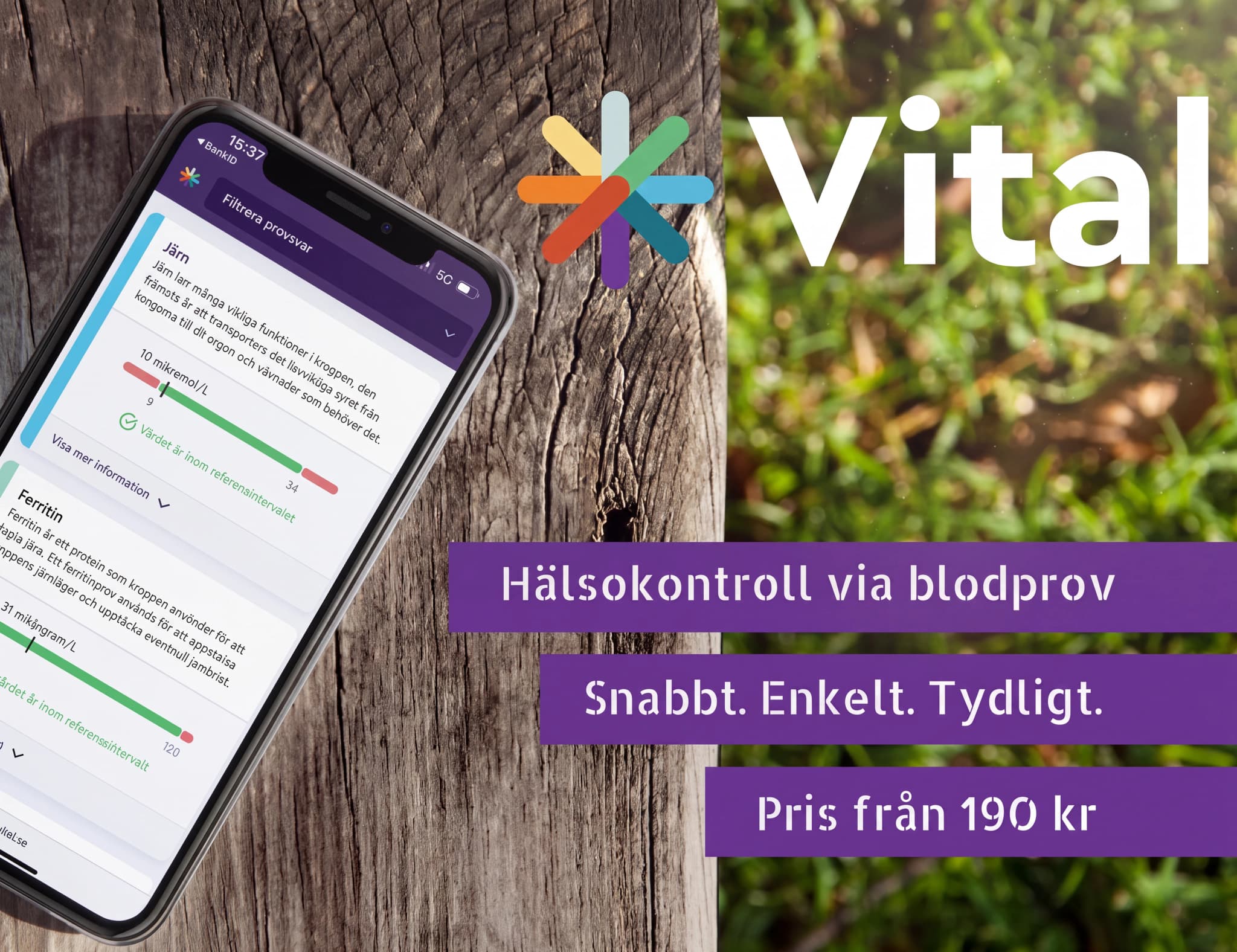 En närbild på en smartphone som visar en hälsoapp med resultat för järn och ferritin. Appen visar referensintervall och värden.