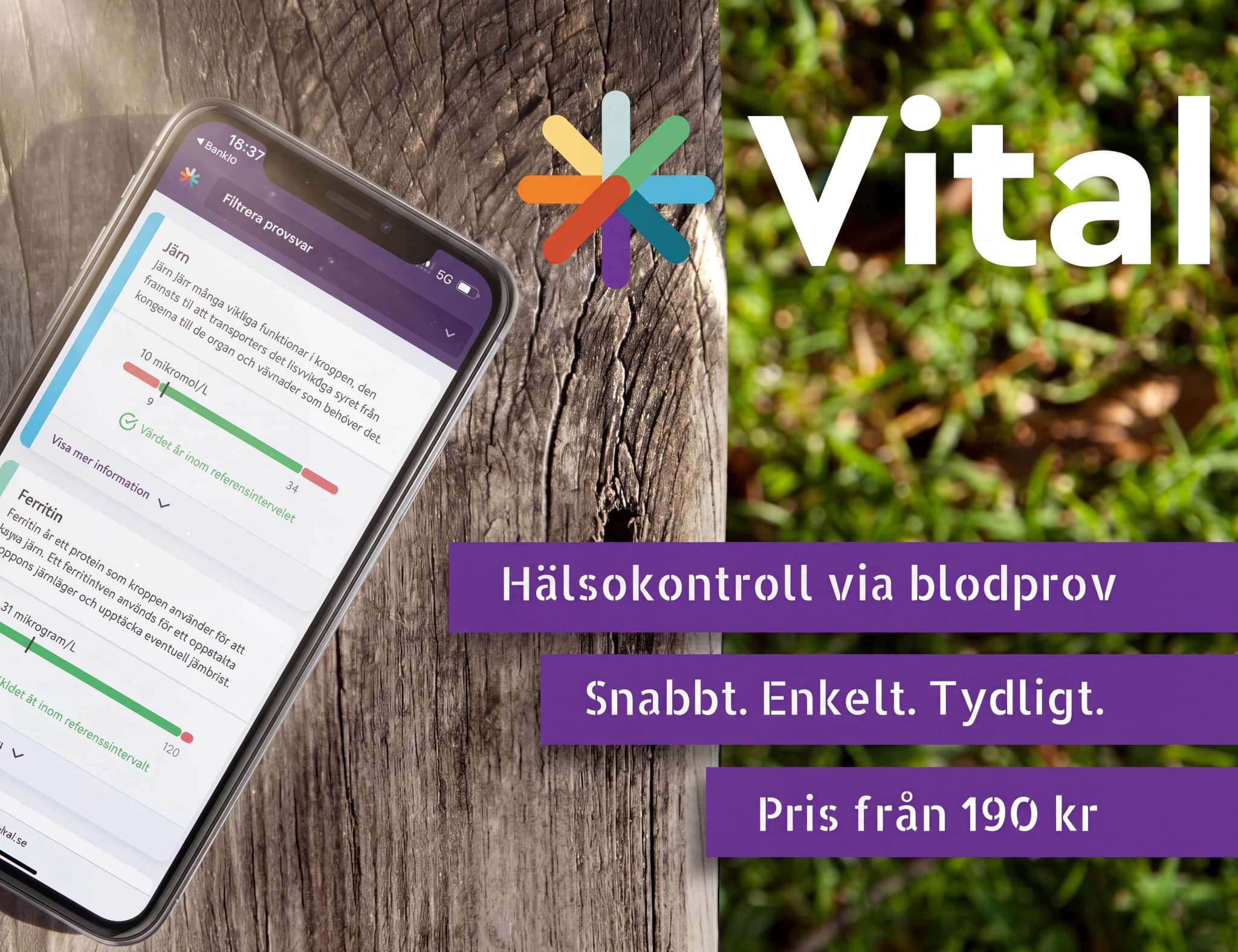 En smartphone visar appen Vital med resultat för järn och ferritin, med företagets logotyp och texten "Hälsokontroll via blodprov" i bakgrunden.