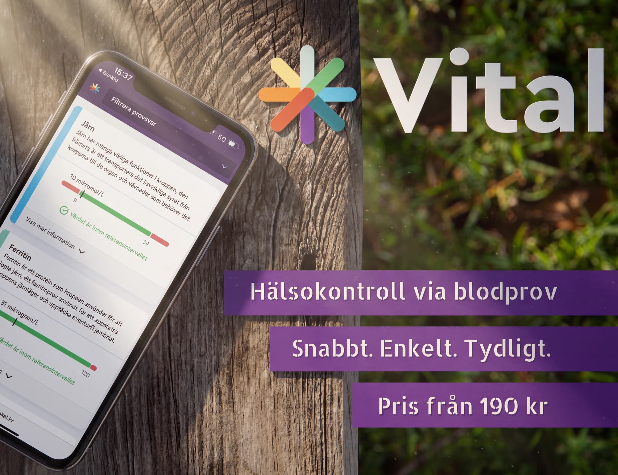 En smartphone som visar en app för hälsokontroll via blodprov med järn- och ferritinresultat, placerad på en träbakgrund med en grönskande bakgrund.