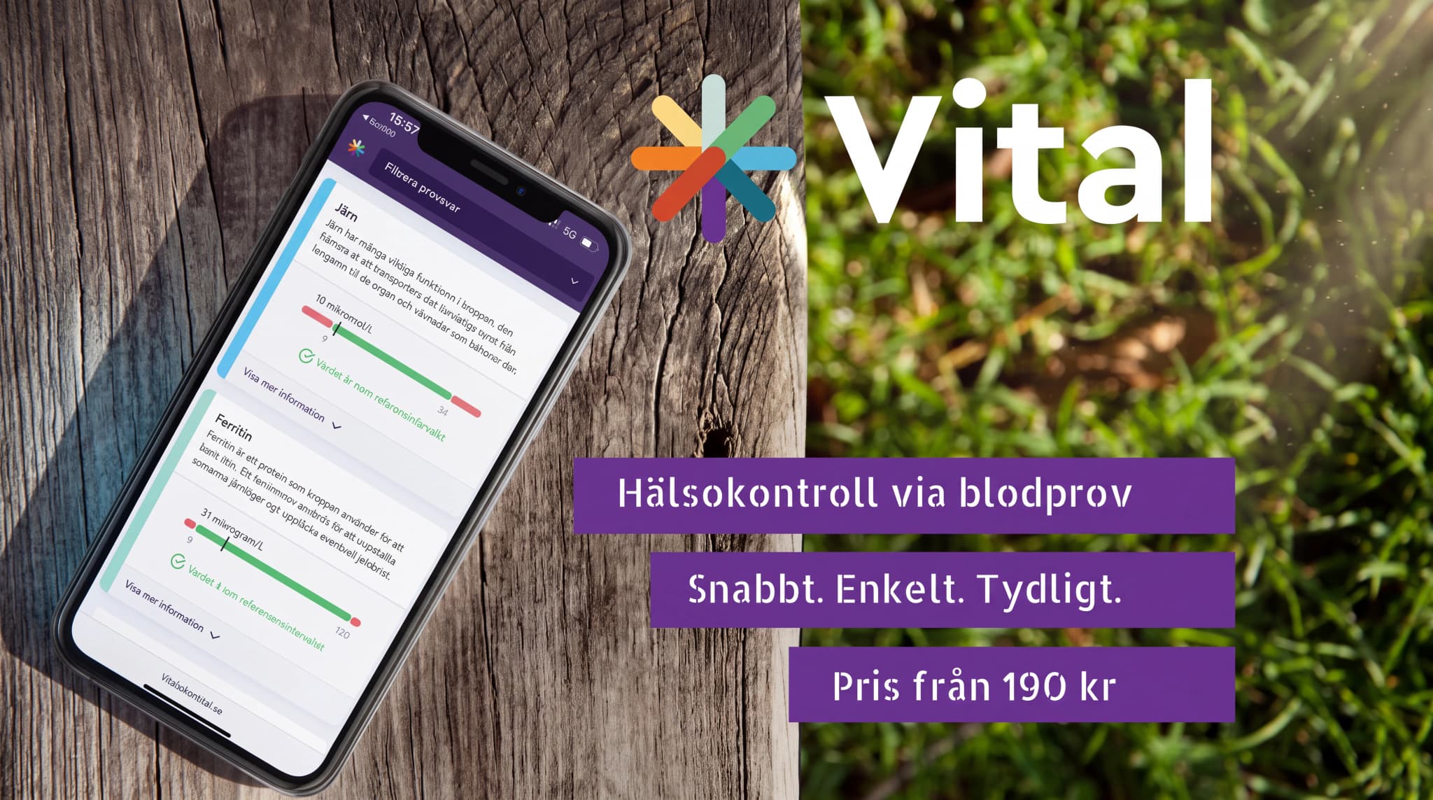 En smartphone som visar en hälsokontroll-app med blodprovsresultat för järn och ferritin, placerad på ett träbord utomhus.