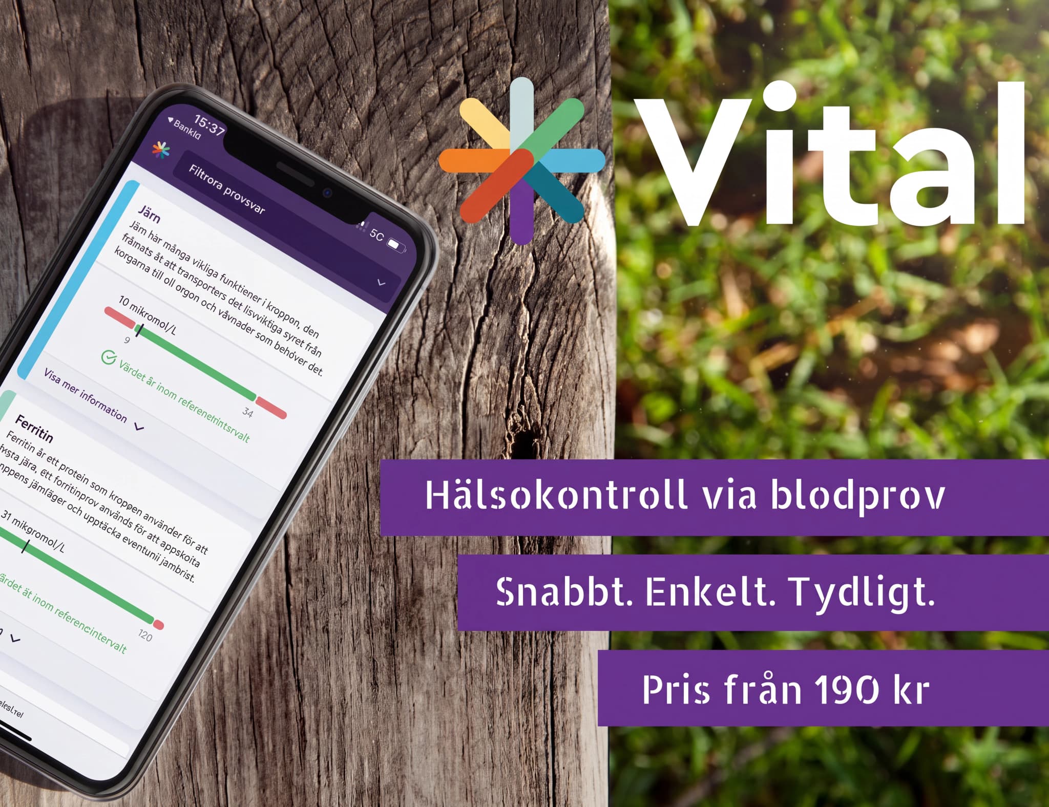 En smartphone visar en app med hälsokontrollresultat för järn och ferritin, med text som förklarar referensintervall.