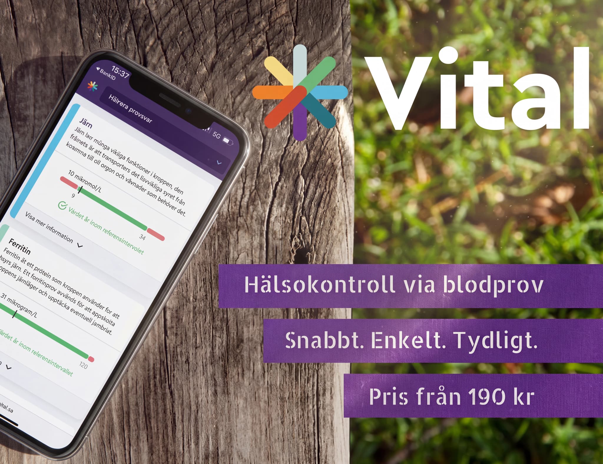En mobiltelefon visar Vital-appens hälsokontrollresultat för järn och ferritin, med texten "Hälsokontroll via blodprov" och "Snabbt. Enkelt. Tydligt.", bredvid en träyta och gräs.