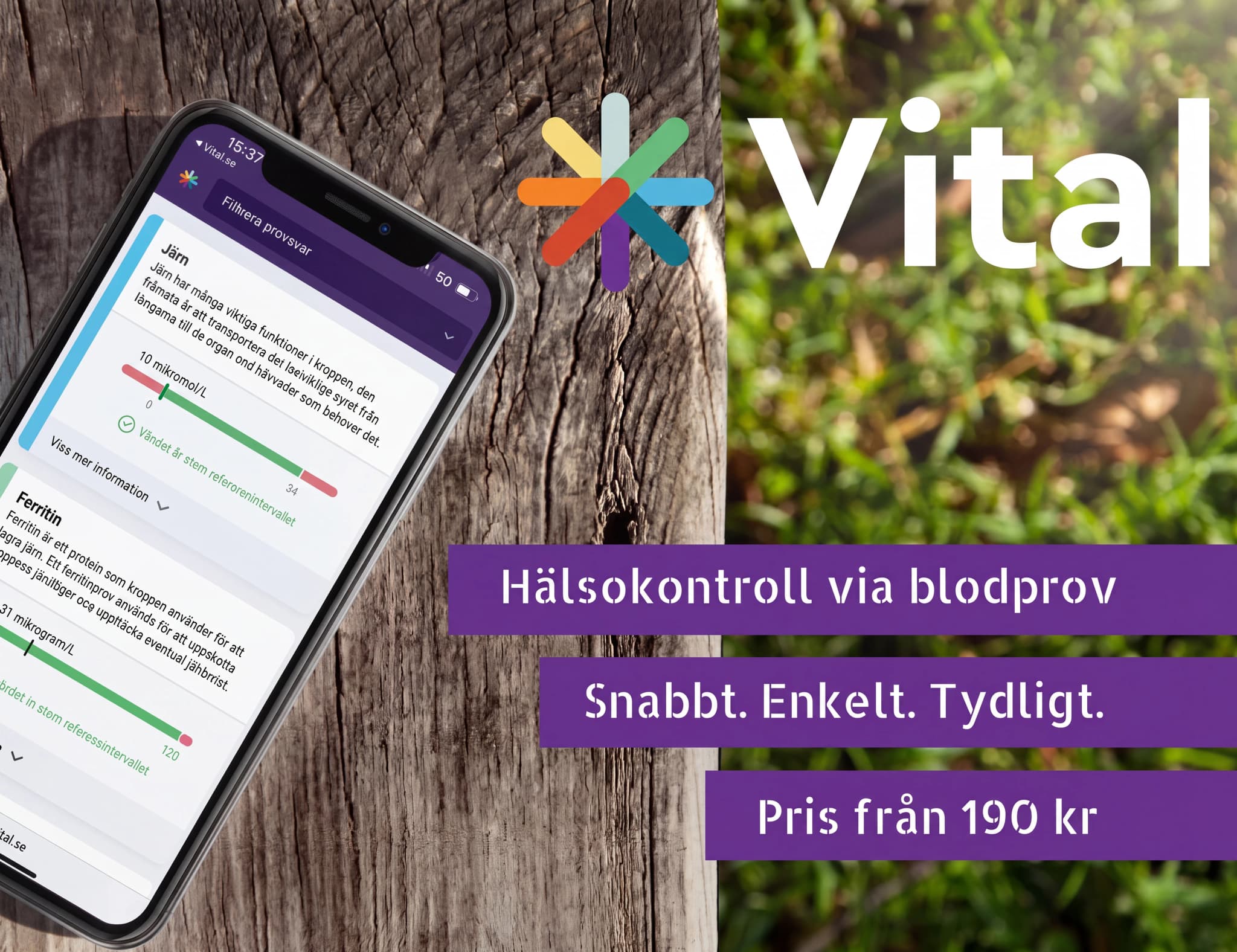 En mobiltelefon som visar resultaten av ett hälsokontroll via blodprov från Vital, med en bakgrund av trä och grönska.