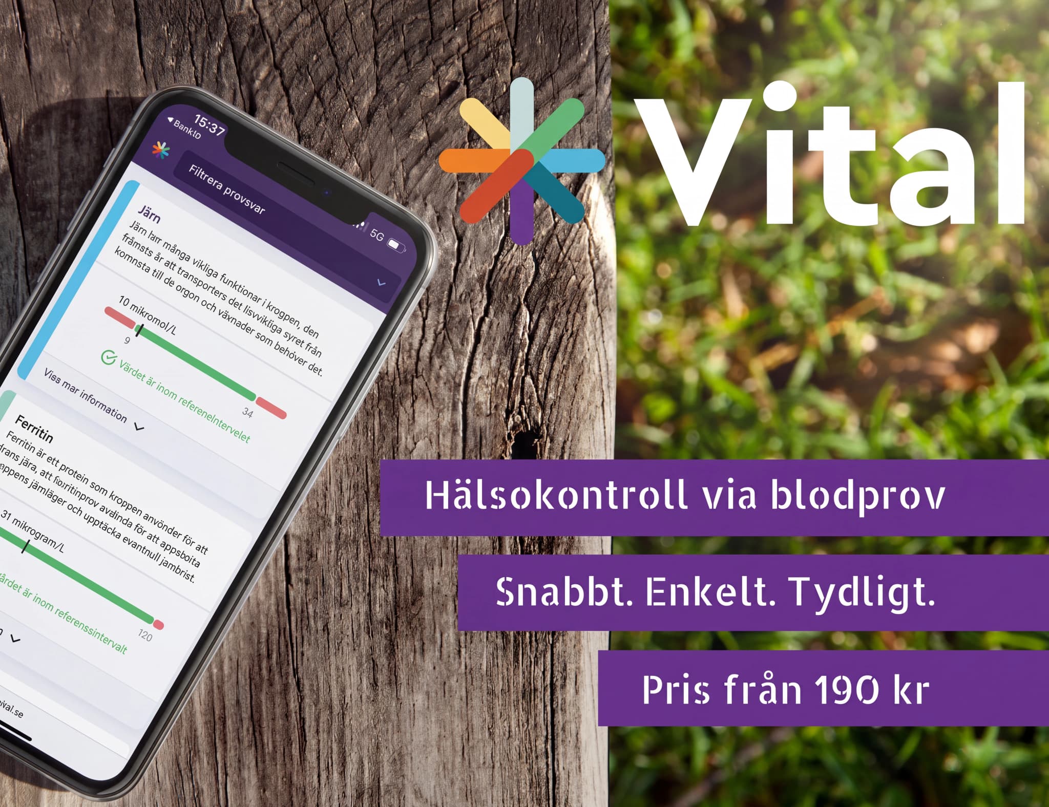 En mobiltelefon som visar en hälsoapp med resultat för järn och ferritin, bredvid logotypen för Vital.