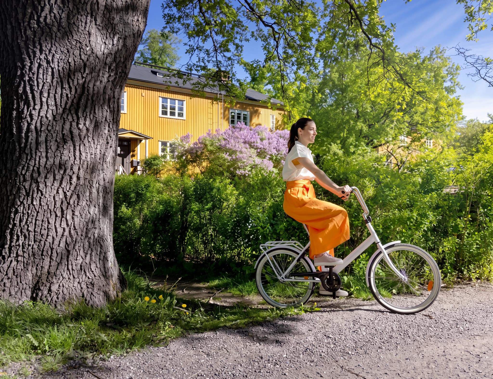 En kvinna cyklar förbi ett gult hus med syrenbuskar i blom i en lummig trädgård.
