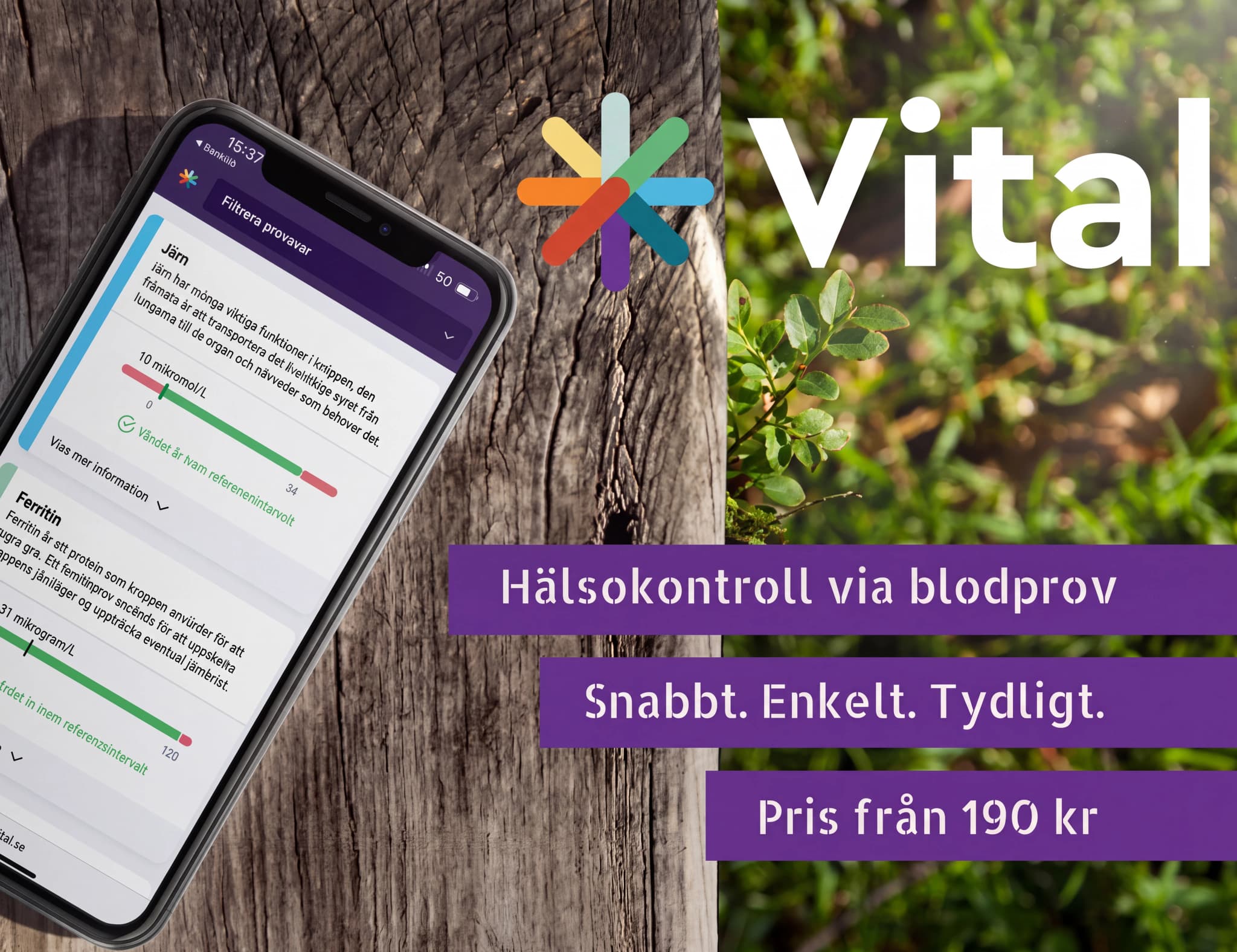 En smartphone som visar en app med blodprovsresultat, inklusive järn- och ferritinvärden, med text om hälsokontroller.
