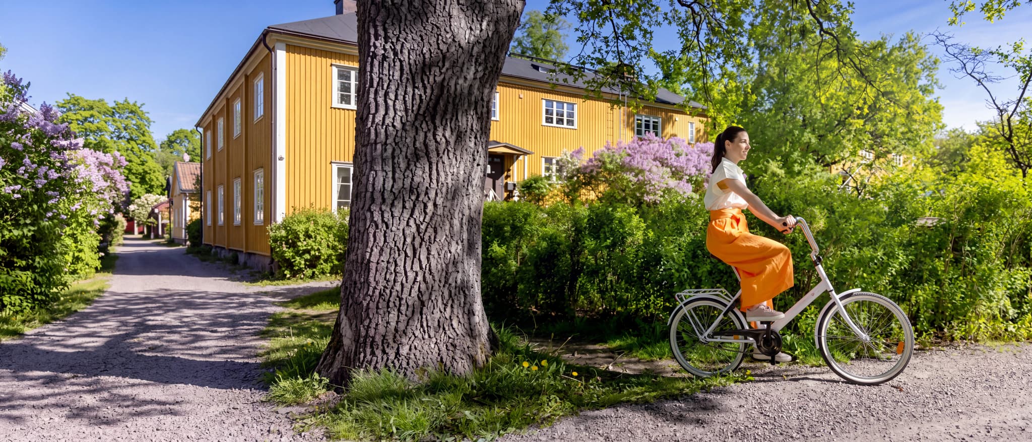 Vital Malmö