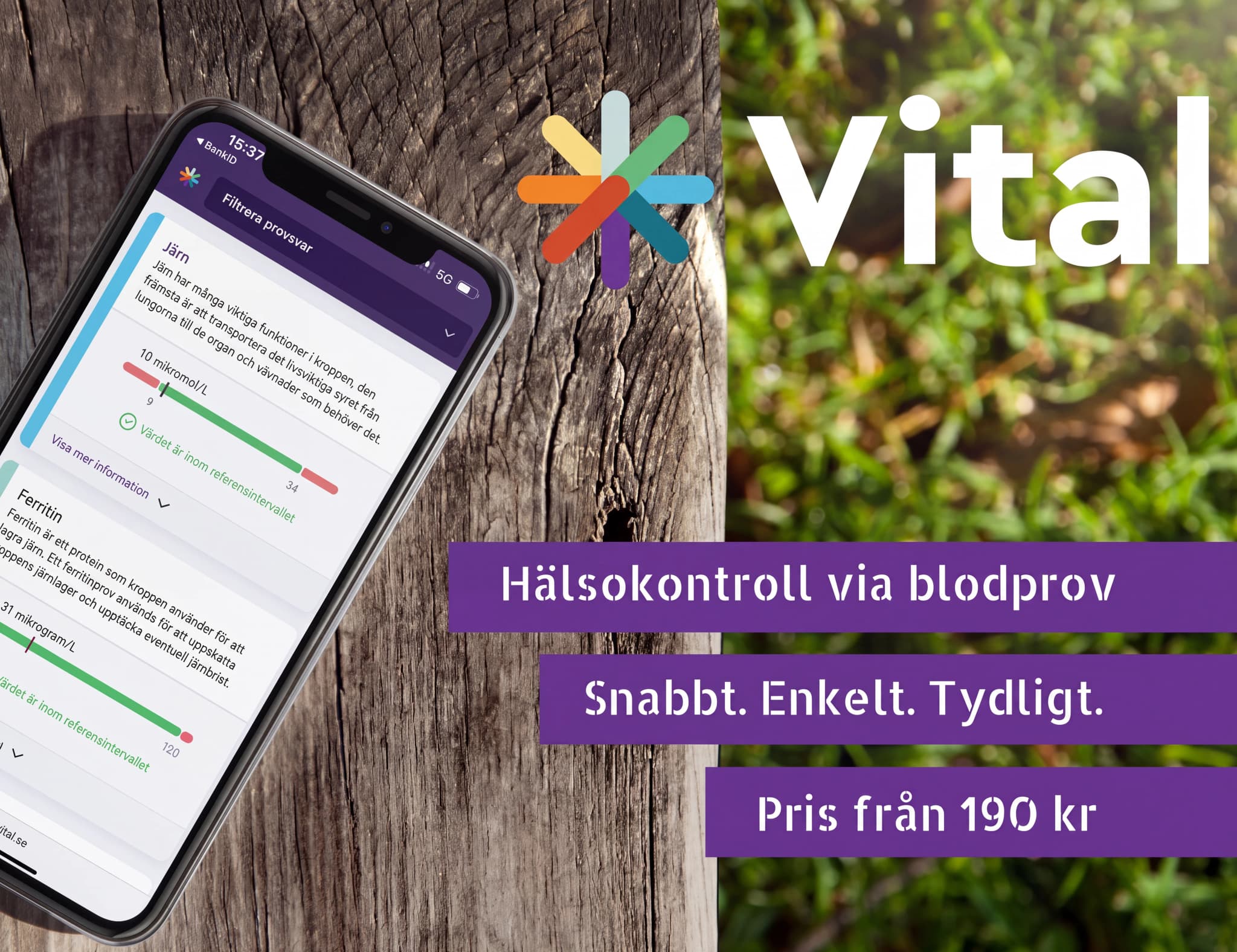 En smartphone visar en app med blodprovsresultat för järn och ferritin. Bakgrunden är ett träbord och grönt gräs.