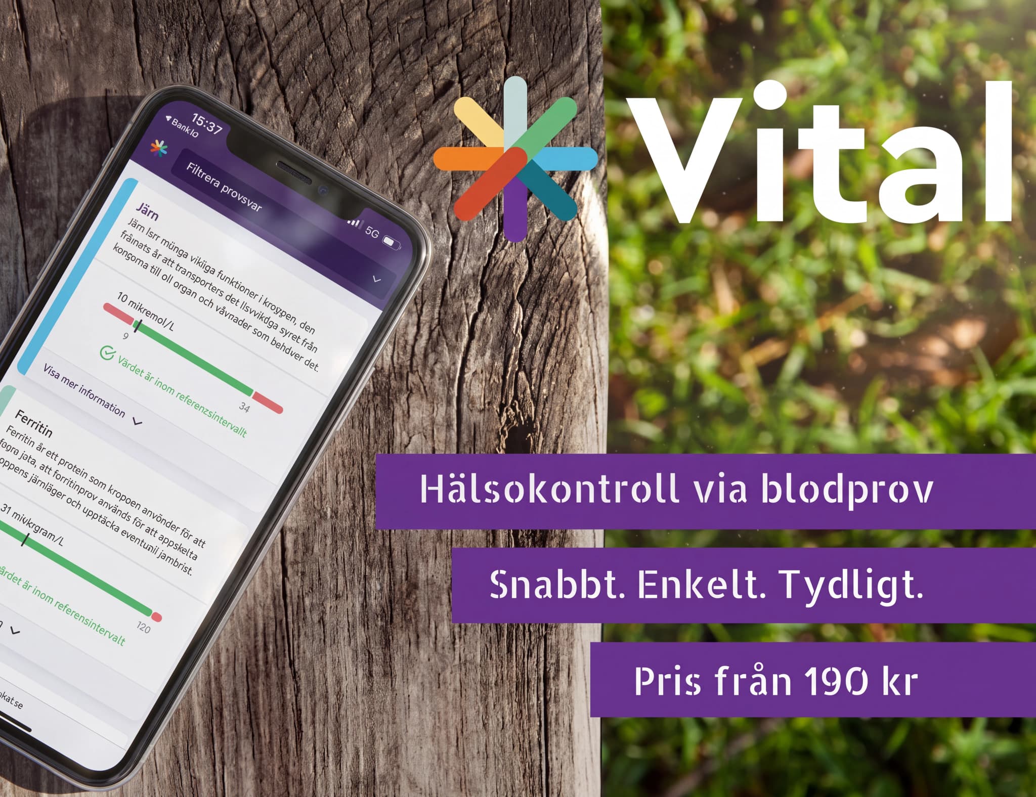 En smartphone som visar Vital-appen för hälsokontroll via blodprov, med en logotyp och text om tjänsten på en bakgrund av trä och grönska.