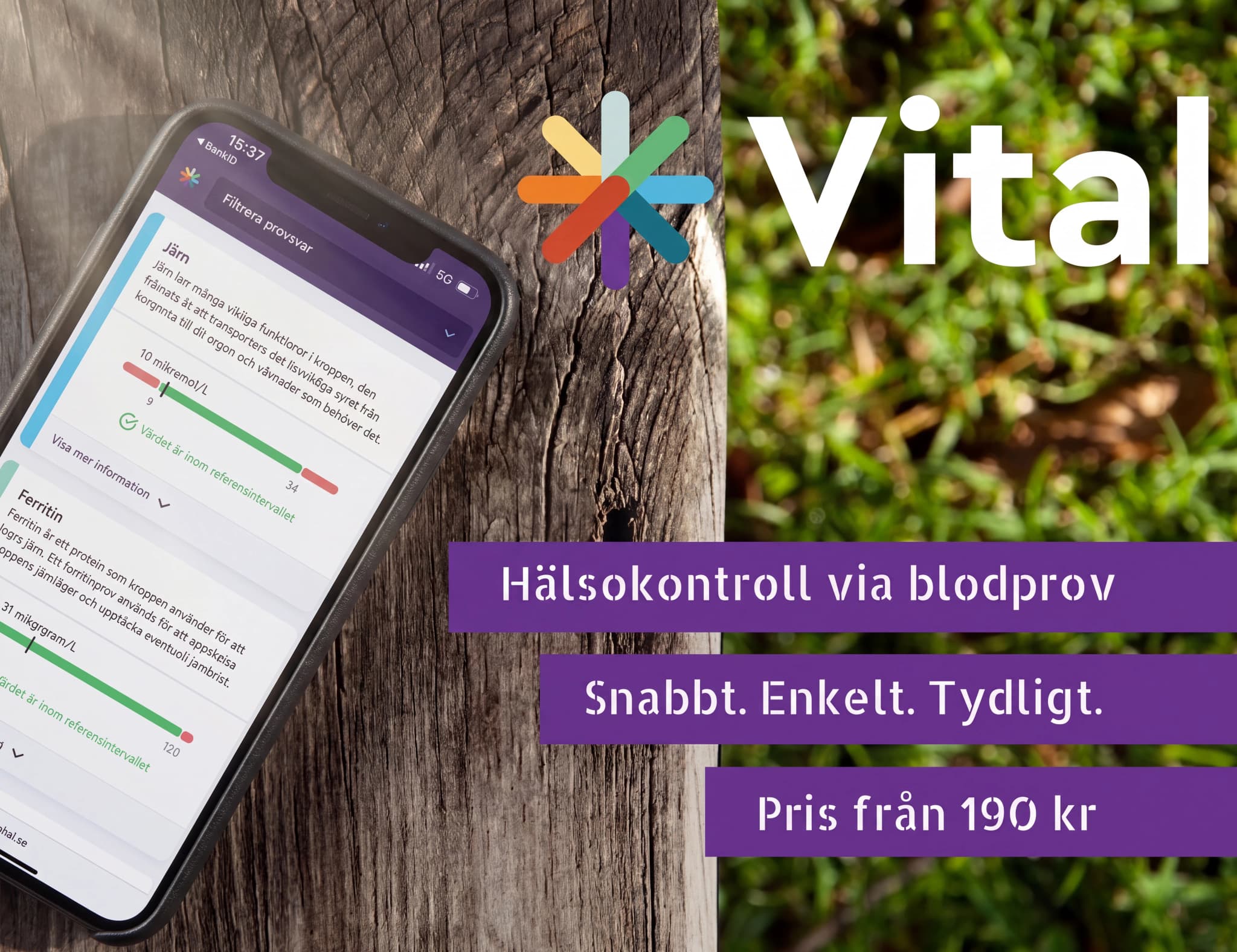 En smartphone visar en app med blodprovsresultat för järn och ferritin, med en bakgrund av trä och grönska.
