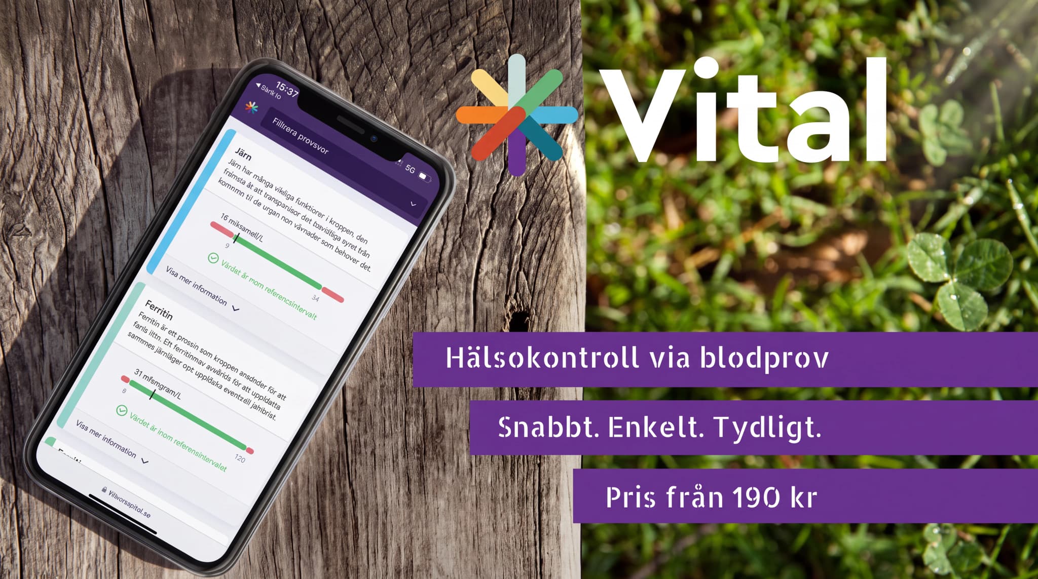 En smartphone visar Vital-appen med hälsoresultat för järn och ferritin, med en bakgrund av trä och grönska.