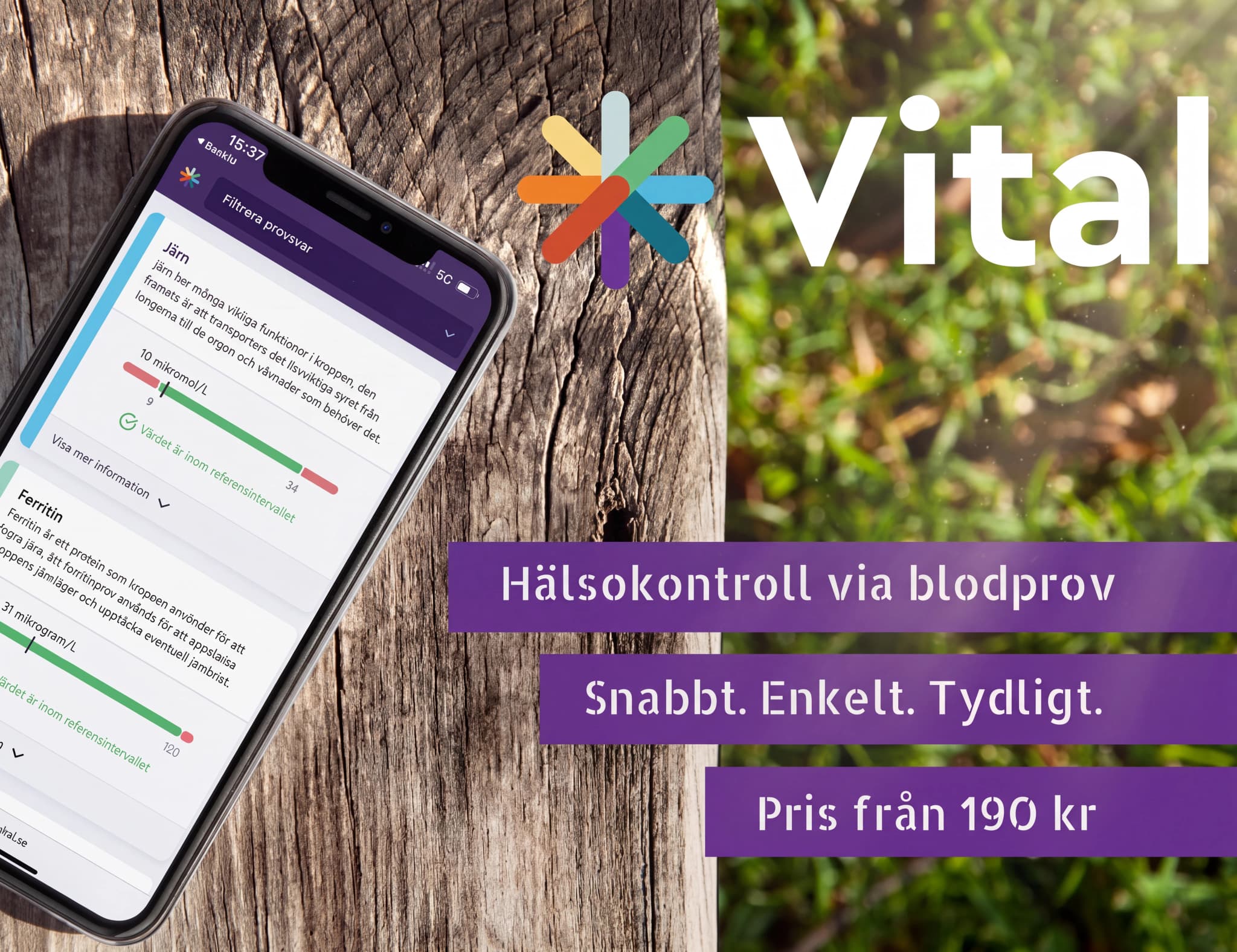 En mobiltelefon som visar en app med hälsoresultat för järn och ferritin, bredvid en livsstilsgrafik med texten "Vital"