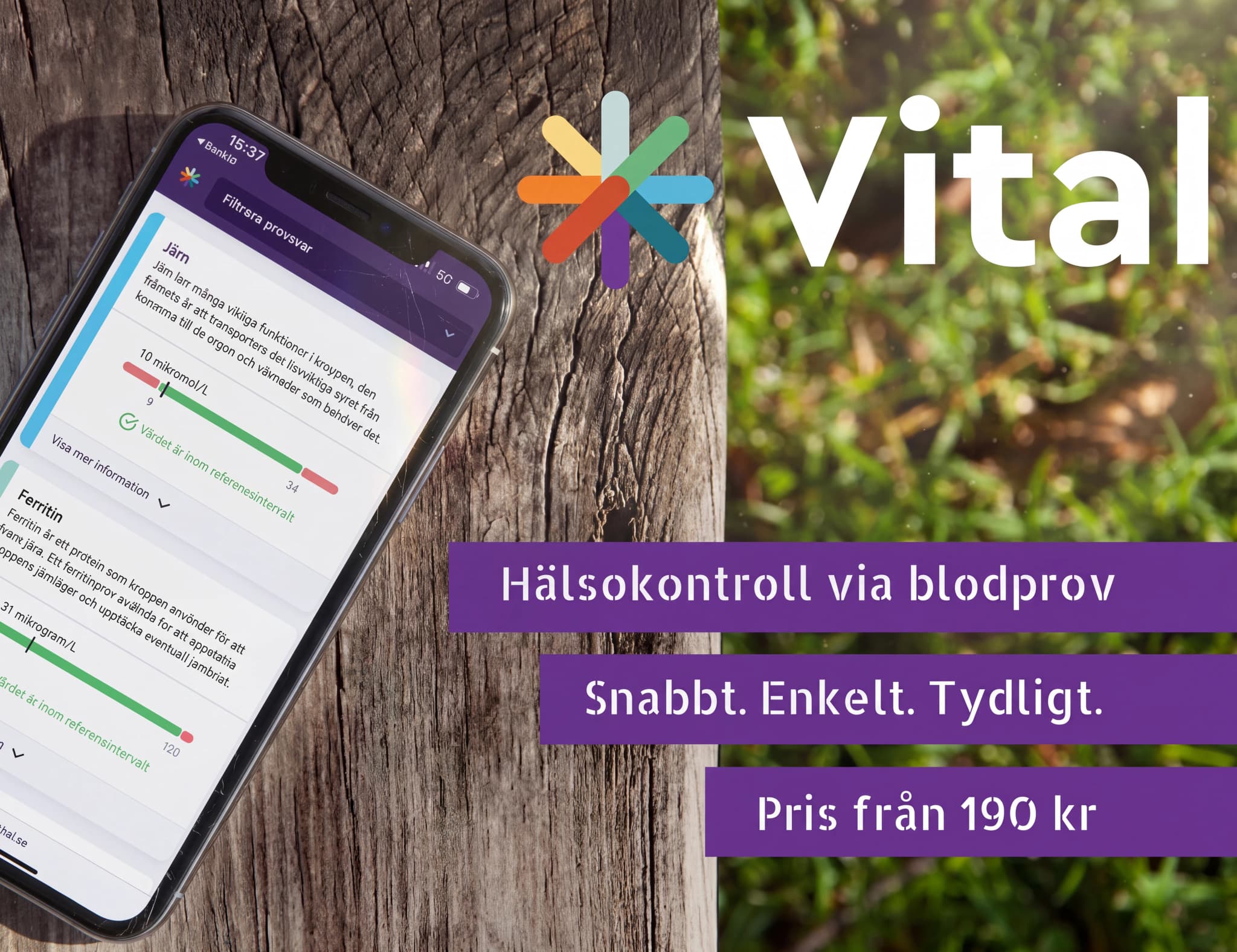 En smartphone som visar en hälsokontrollapp för blodprov ligger på ett träunderlag, med en del av en trädgård i bakgrunden.
