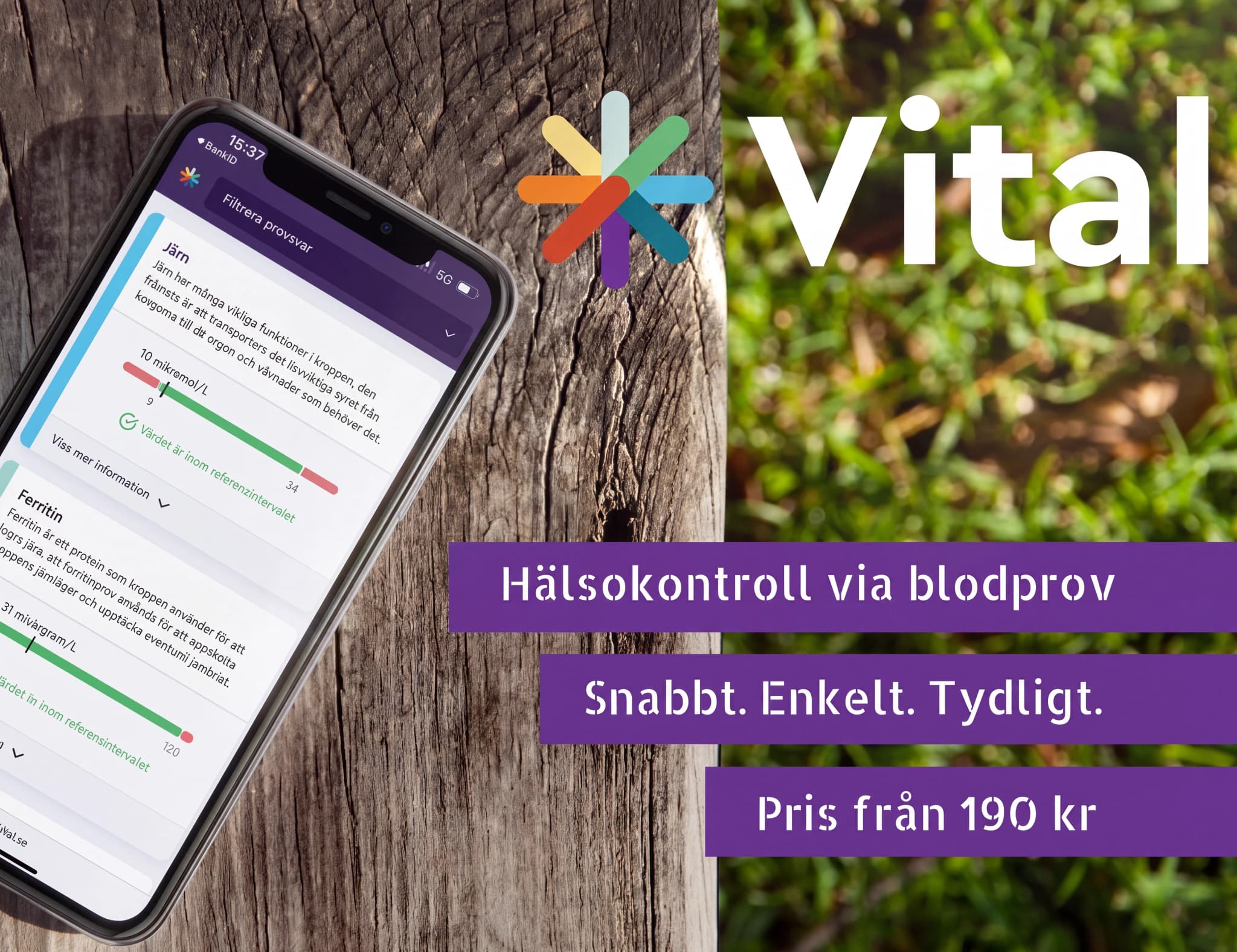 En mobiltelefon visar en app med blodprovsresultat, inklusive järn- och ferritinvärden, bredvid Vital-logotypen och texten 'Hälsokontroll via blodprov'.
