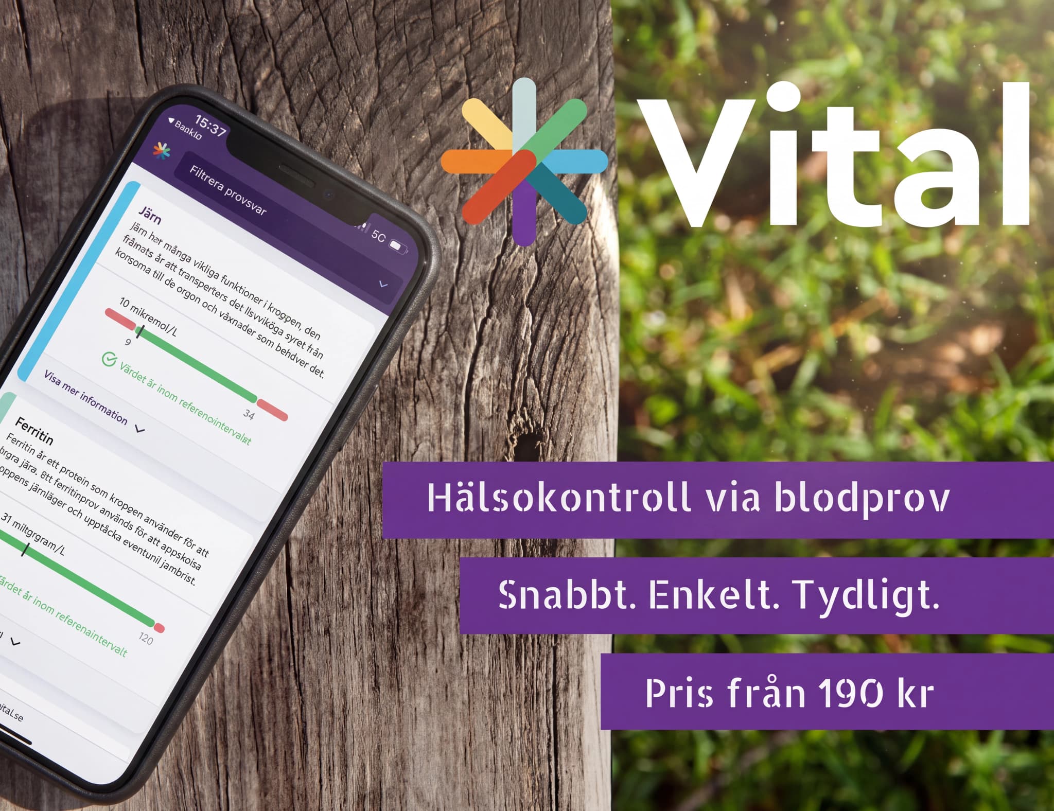 En smartphone visar en app för hälsokontroll med resultat för järn och ferritin, placerad på ett träbord.