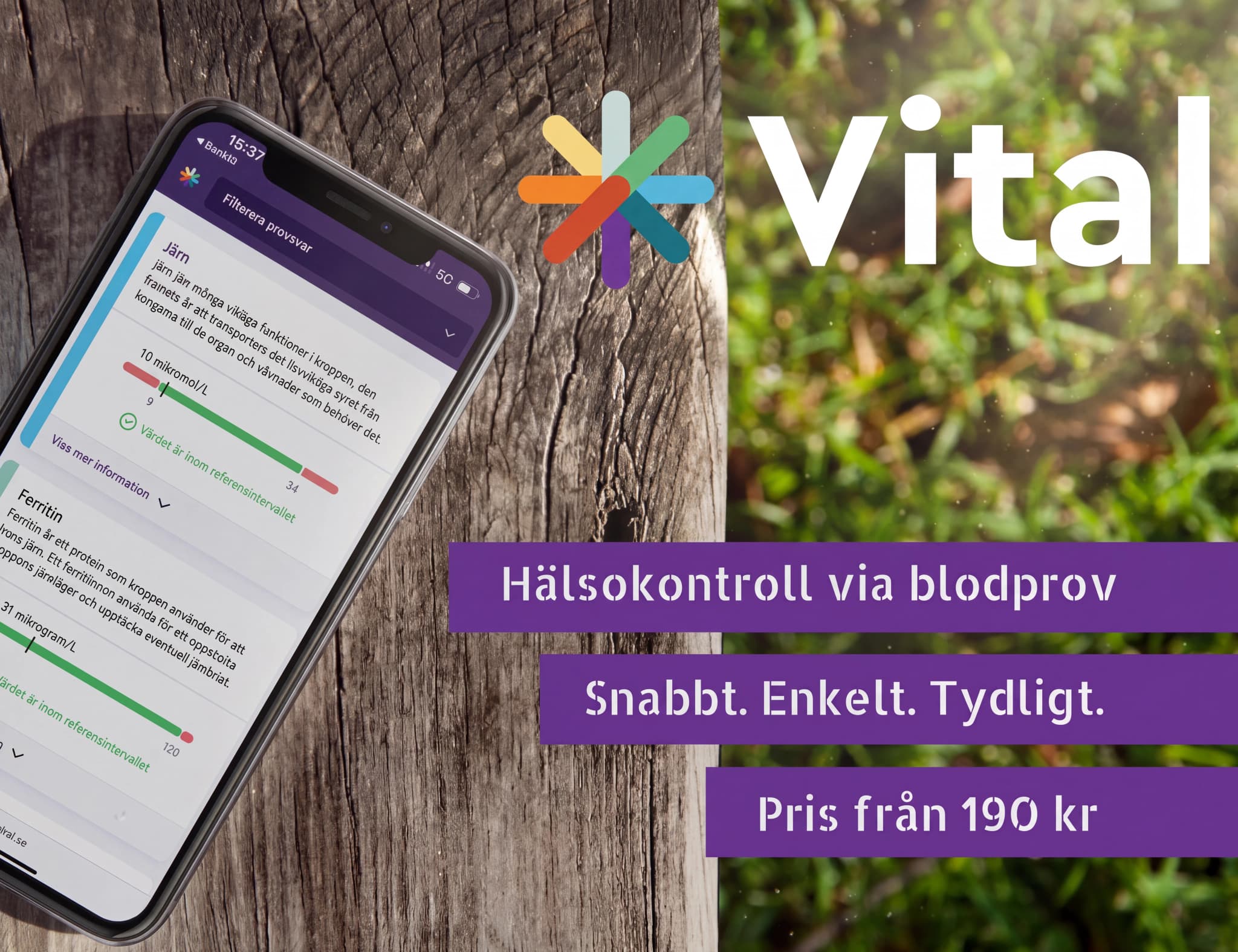 En mobiltelefon som visar appen Vital med hälsokontrollresultat som järn och ferritin, placerad på en träbakgrund.