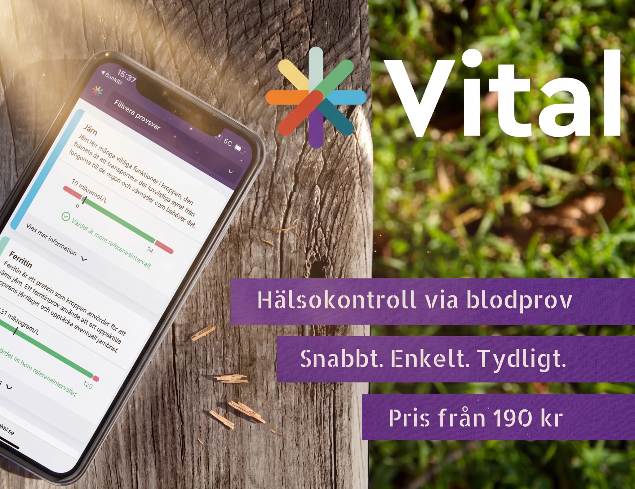 En smartphone visar resultaten från ett hälsokontroll via blodprov på appen Vital, med logotypen och texten 'Hälsokontroll via blodprov'.