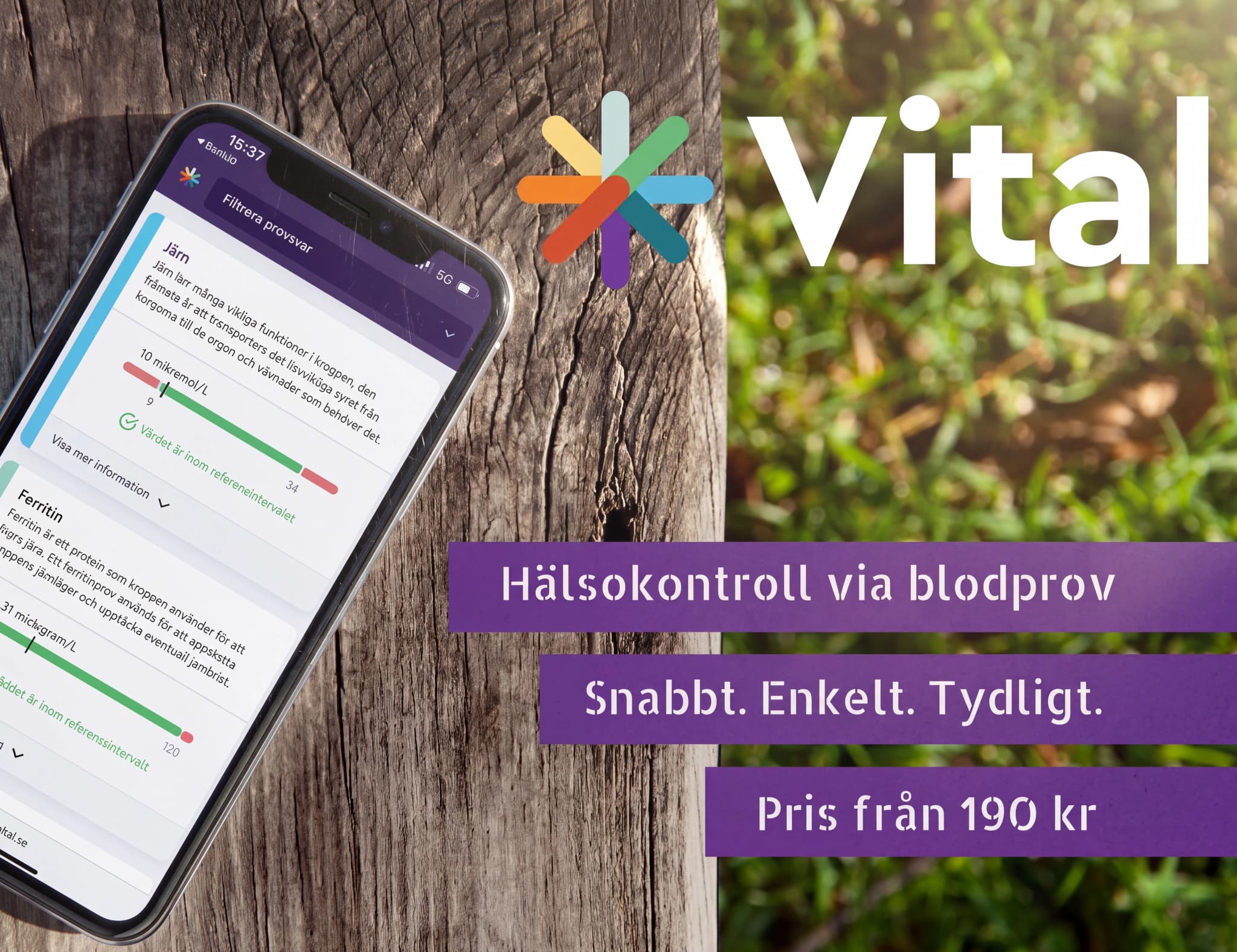 En smartphone visar Vital-appen med hälsokontrollresultat för järn och ferritin på en träbakgrund.