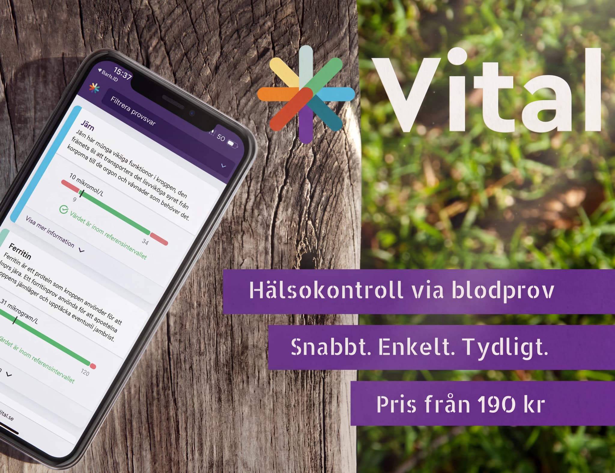 En mobiltelefon visar Vital-appen med resultat för järn och ferritin, med en bakgrund av trä och natur.